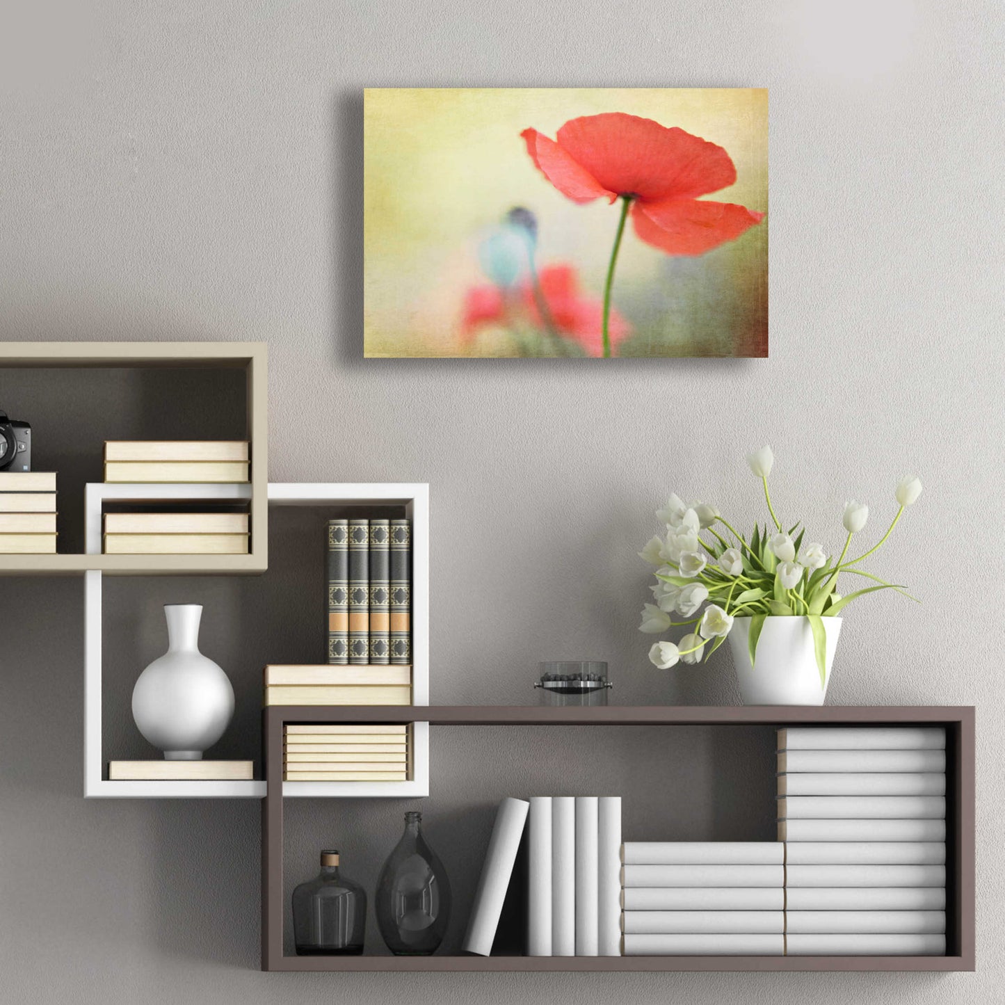 Epic Art 'Poppy' by Kim Fearheiley, Acrylic Glass Wall Art,24x16