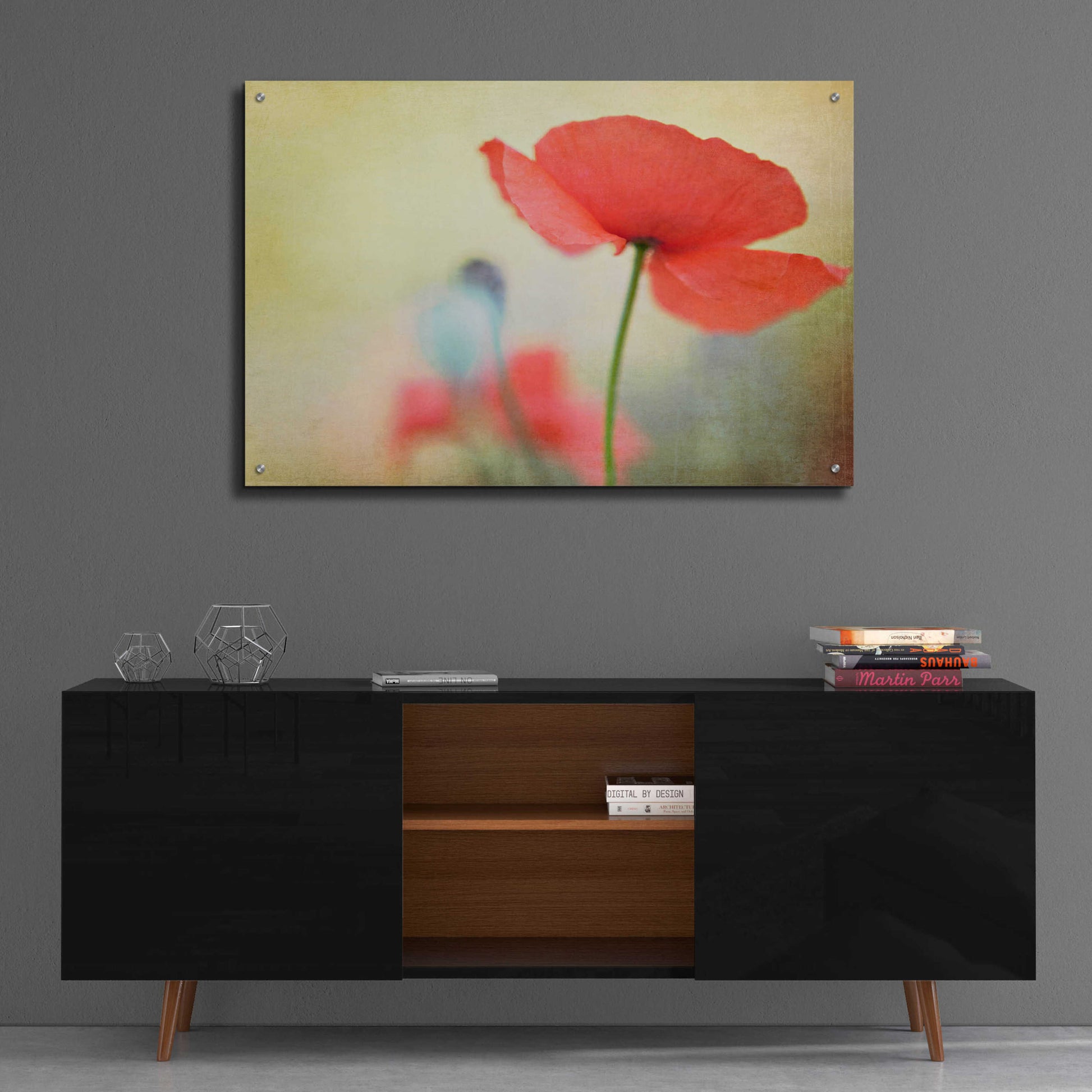 Epic Art 'Poppy' by Kim Fearheiley, Acrylic Glass Wall Art,36x24