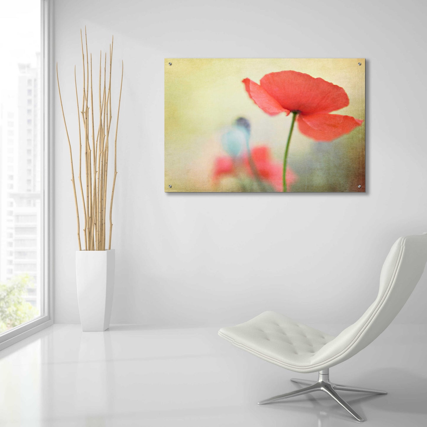 Epic Art 'Poppy' by Kim Fearheiley, Acrylic Glass Wall Art,36x24