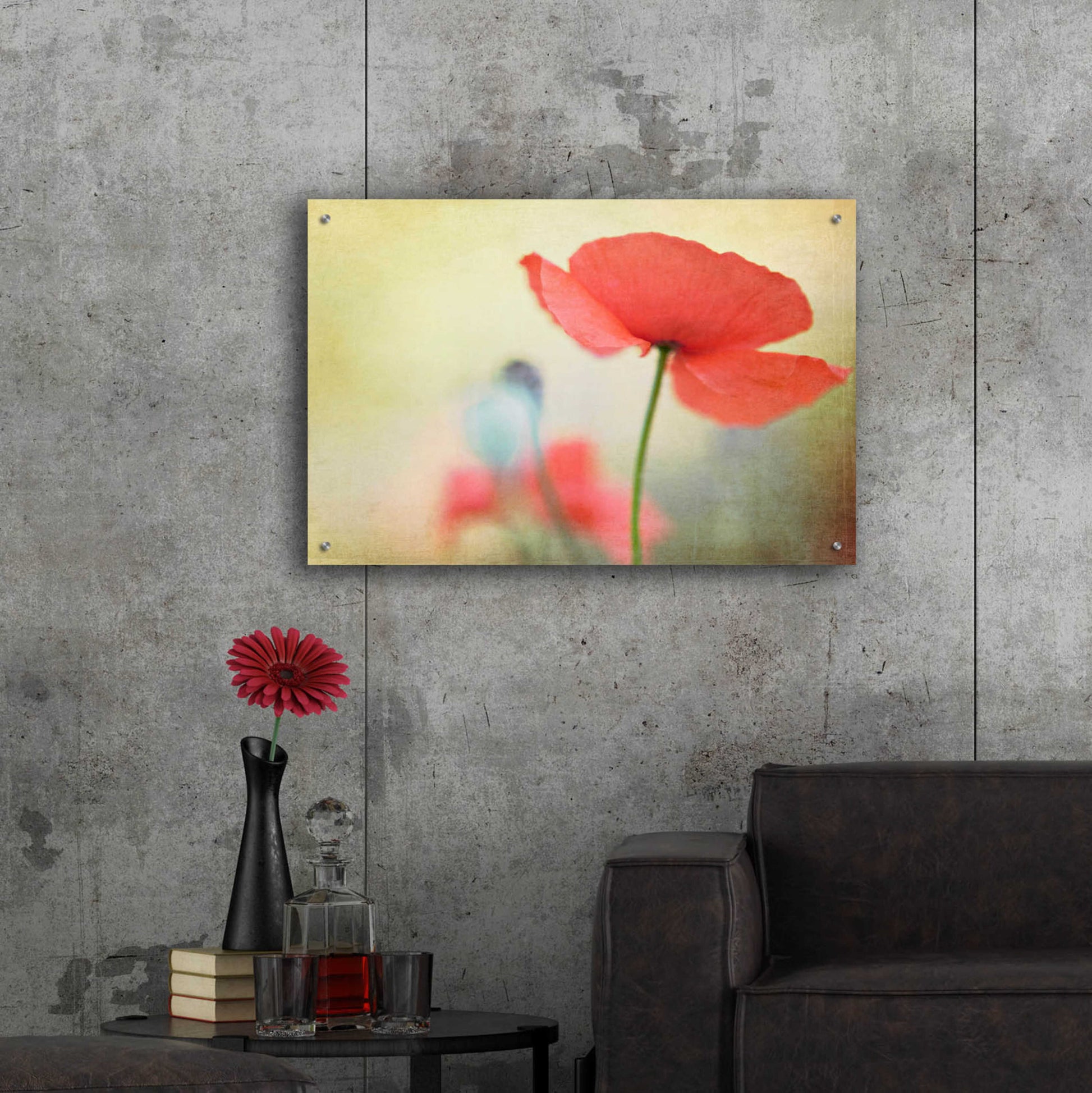 Epic Art 'Poppy' by Kim Fearheiley, Acrylic Glass Wall Art,36x24