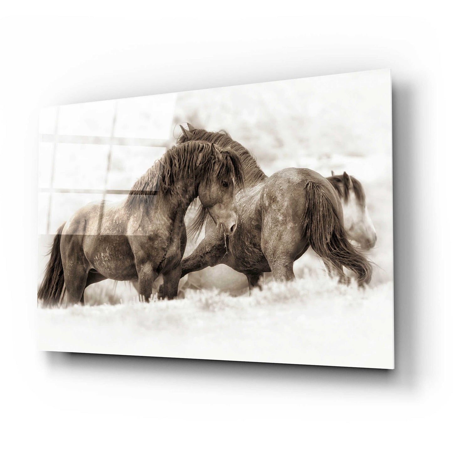 Epic Art 'Brothers' by Lisa Dearing, Acrylic Glass Wall Art,24x16