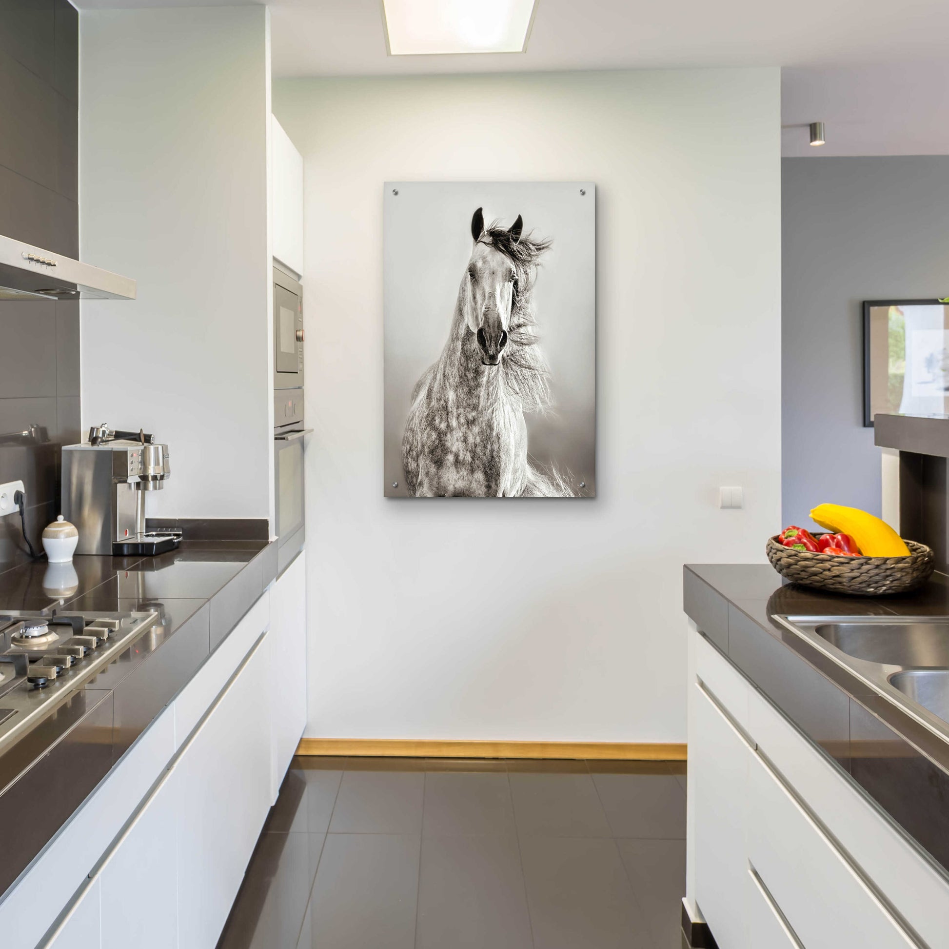 Epic Art 'Caballo de Andaluz' by Lisa Dearing, Acrylic Glass Wall Art,24x36