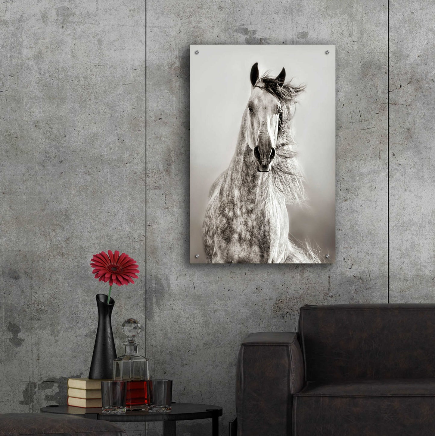 Epic Art 'Caballo de Andaluz' by Lisa Dearing, Acrylic Glass Wall Art,24x36