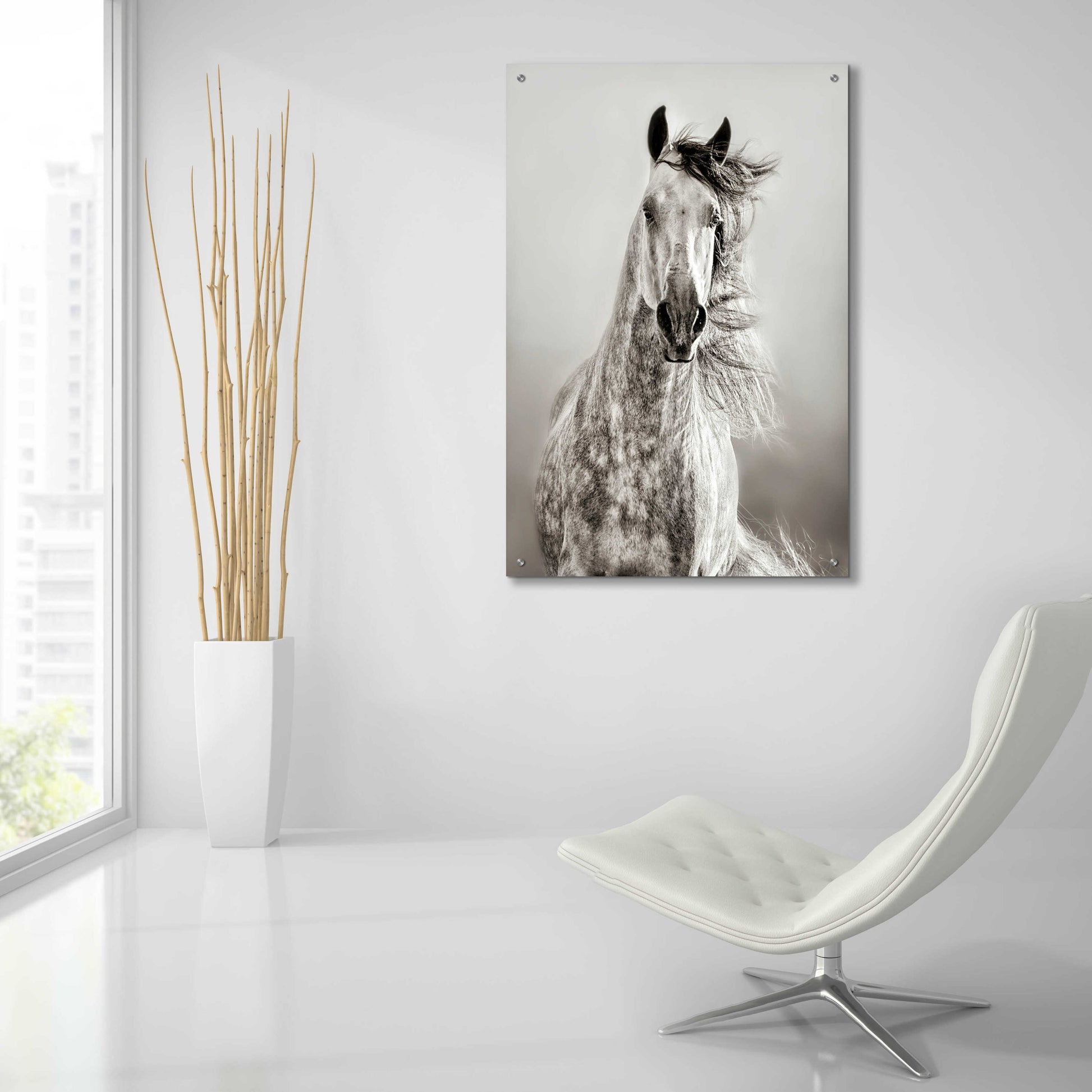 Epic Art 'Caballo de Andaluz' by Lisa Dearing, Acrylic Glass Wall Art,24x36