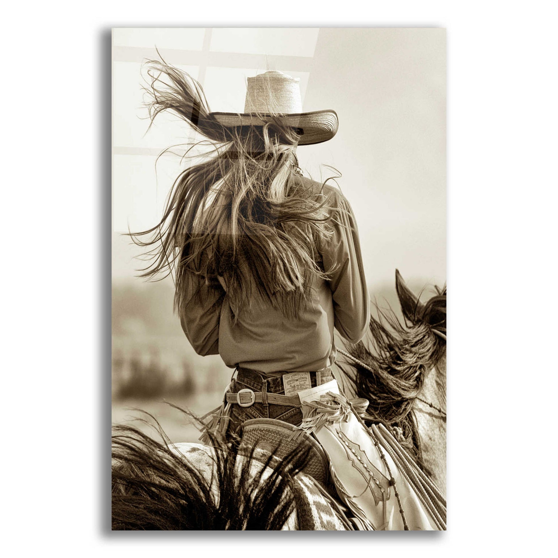 Epic Art 'Cowgirl' by Lisa Dearing, Acrylic Glass Wall Art,12x16