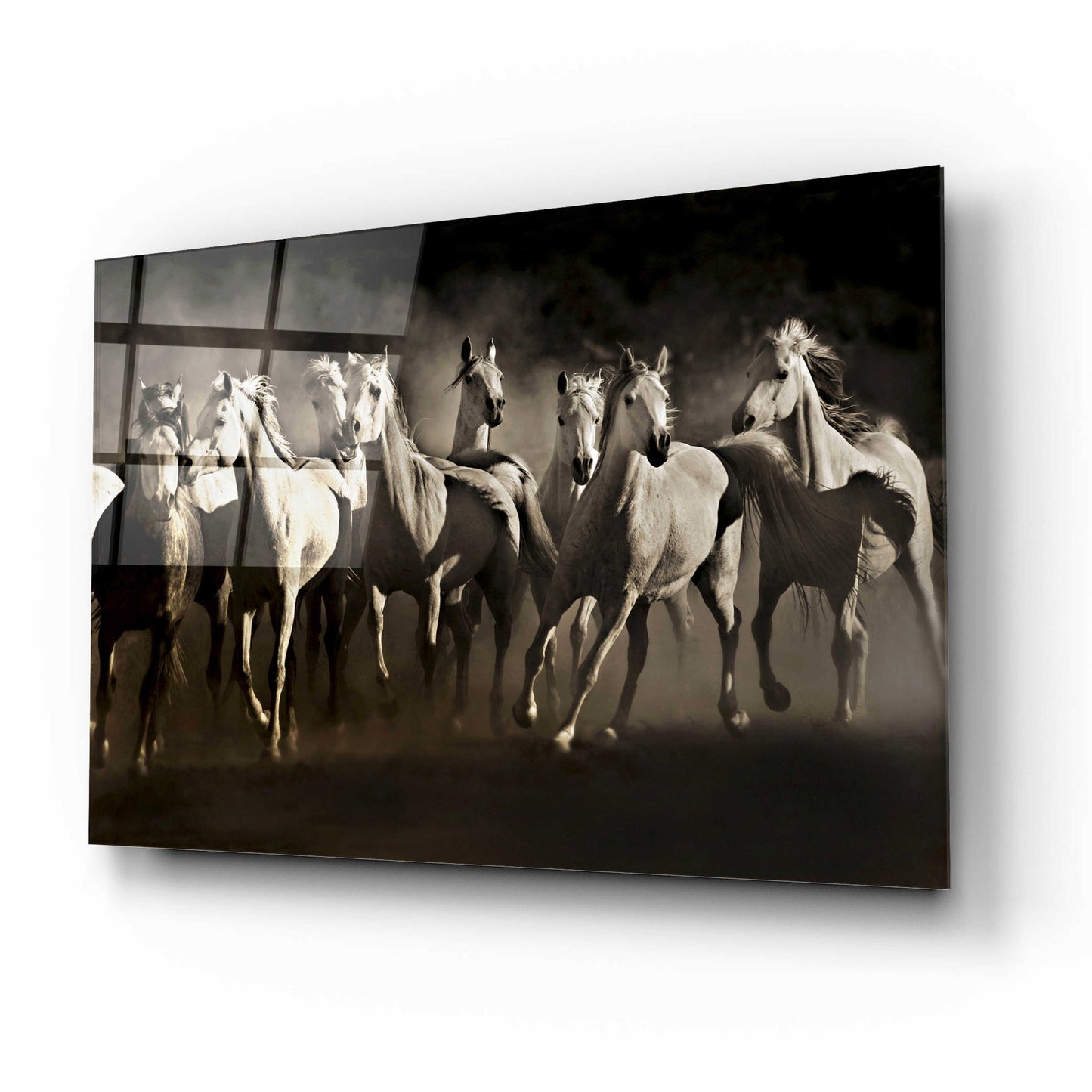 Epic Art 'Dream Horses' by Lisa Dearing, Acrylic Glass Wall Art,16x12