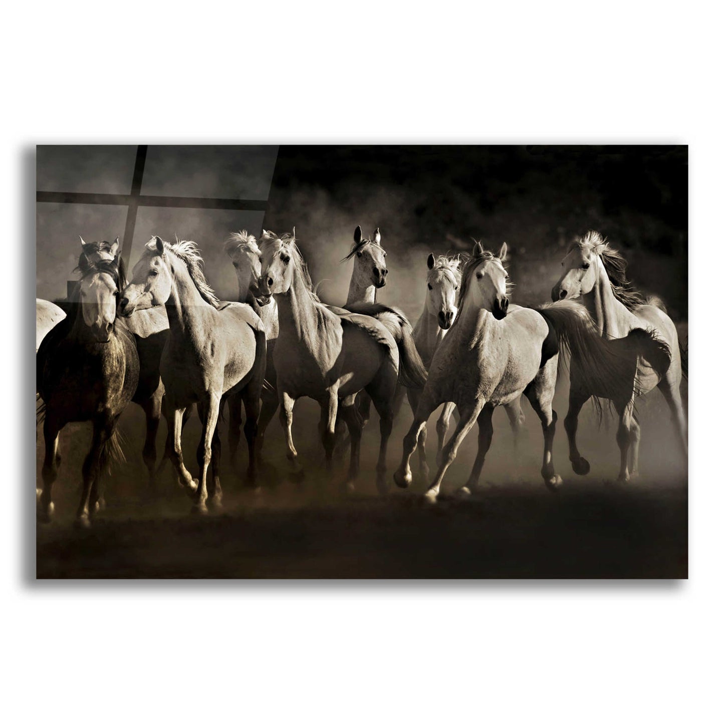 Epic Art 'Dream Horses' by Lisa Dearing, Acrylic Glass Wall Art,16x12