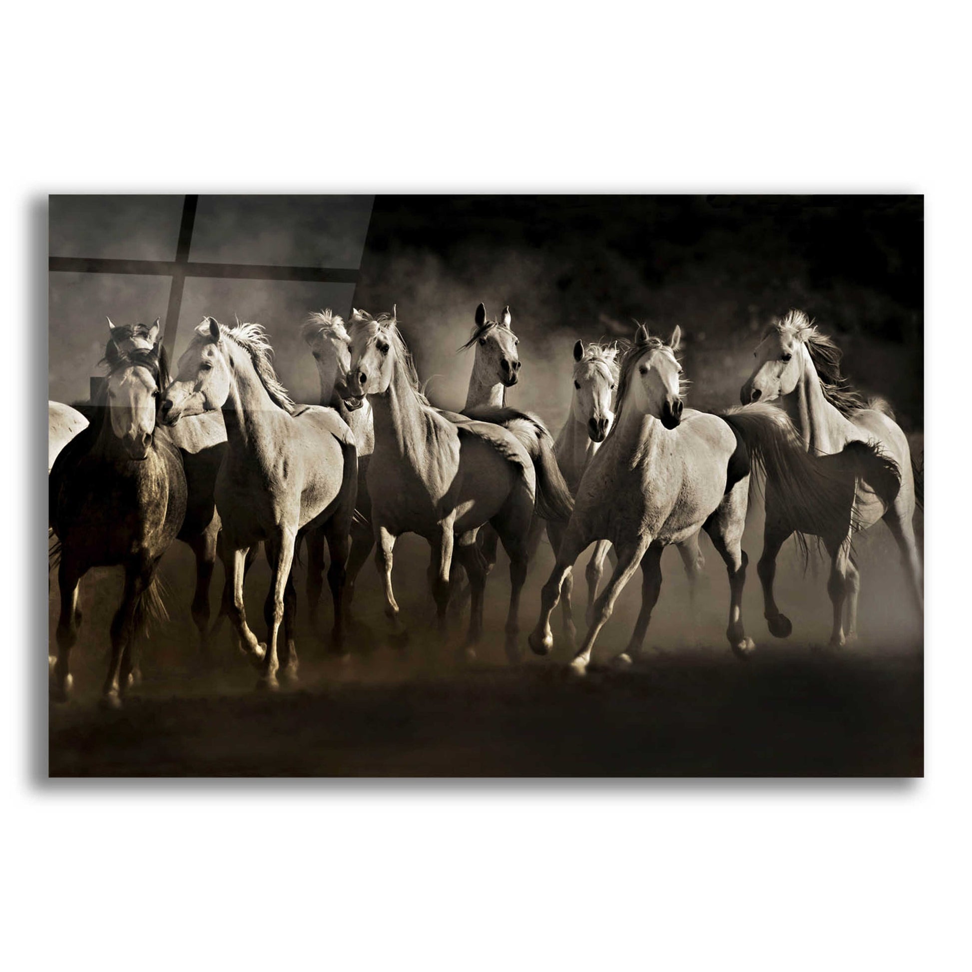 Epic Art 'Dream Horses' by Lisa Dearing, Acrylic Glass Wall Art,24x16