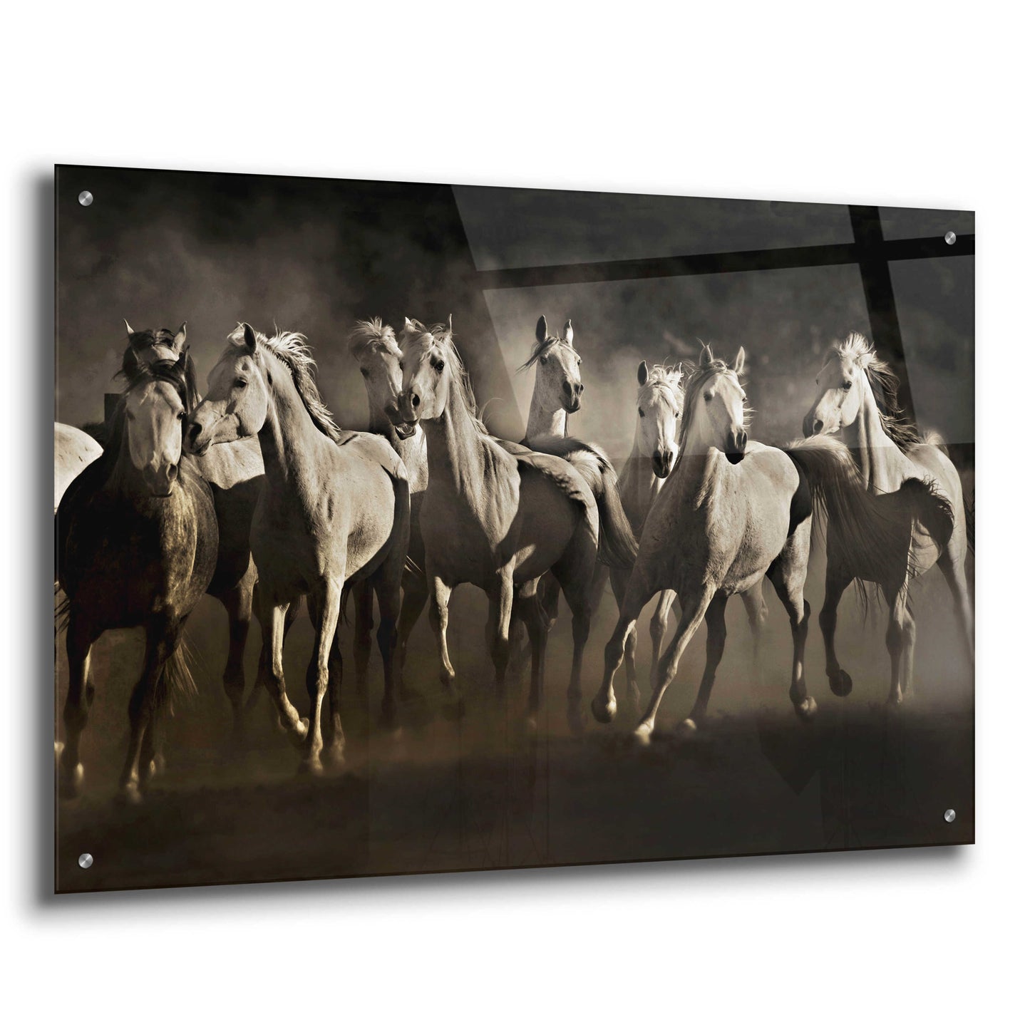 Epic Art 'Dream Horses' by Lisa Dearing, Acrylic Glass Wall Art,36x24