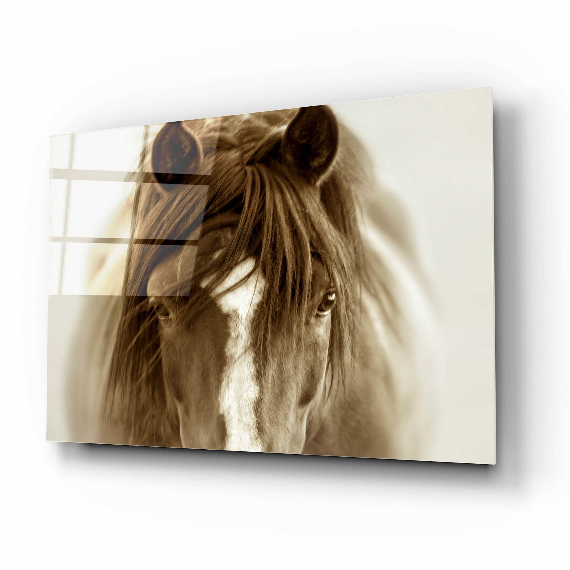 Epic Art 'Ghost Horse' by Lisa Dearing, Acrylic Glass Wall Art,16x12