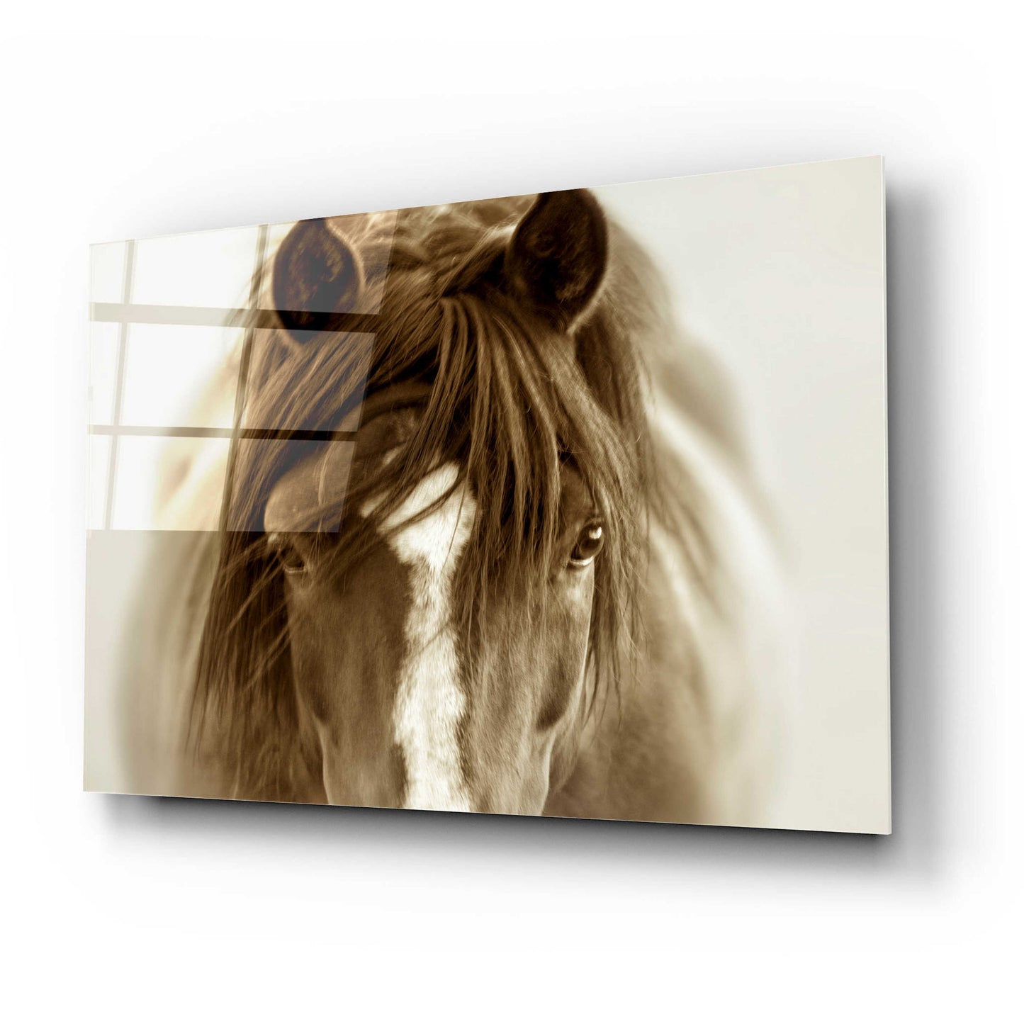 Epic Art 'Ghost Horse' by Lisa Dearing, Acrylic Glass Wall Art,24x16