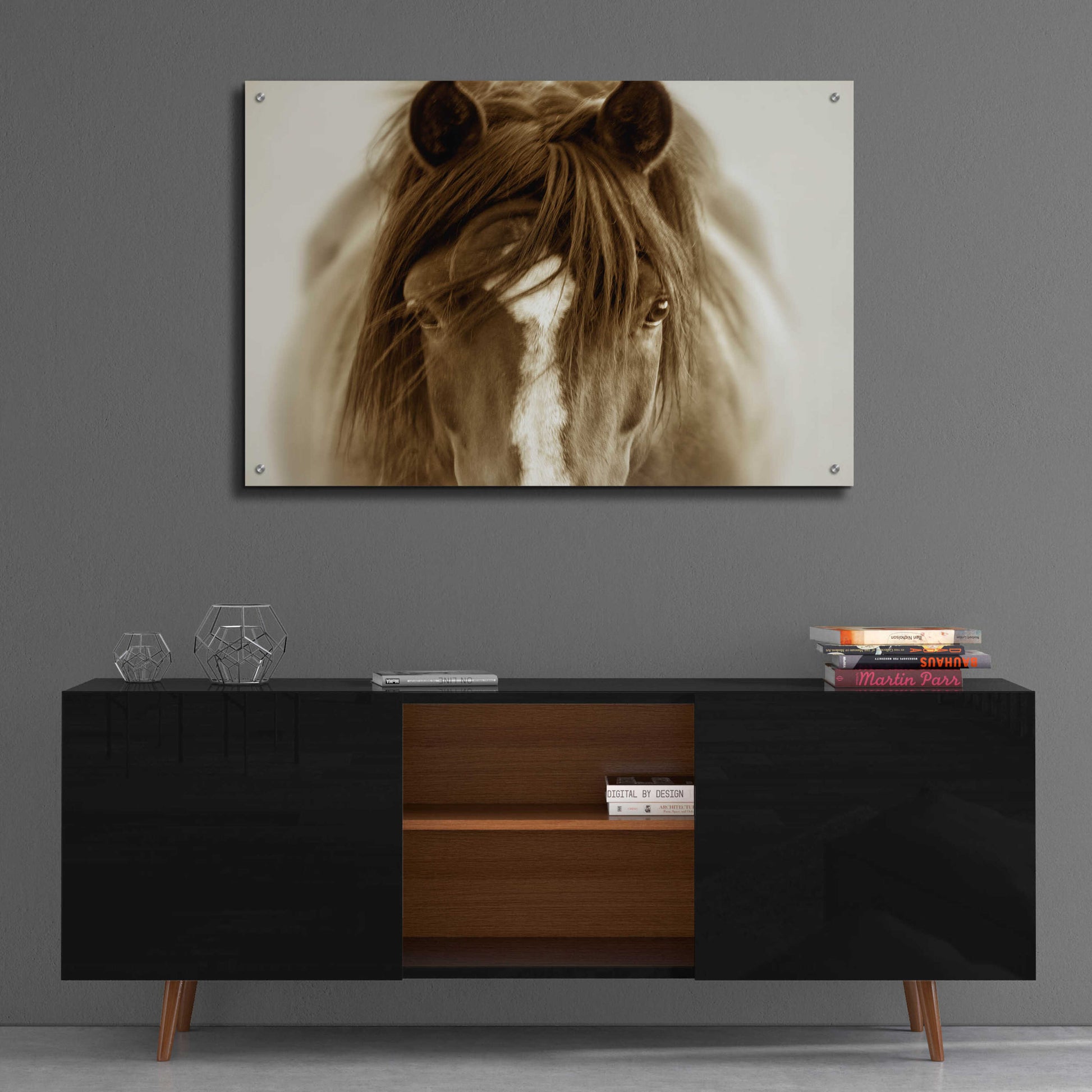 Epic Art 'Ghost Horse' by Lisa Dearing, Acrylic Glass Wall Art,36x24