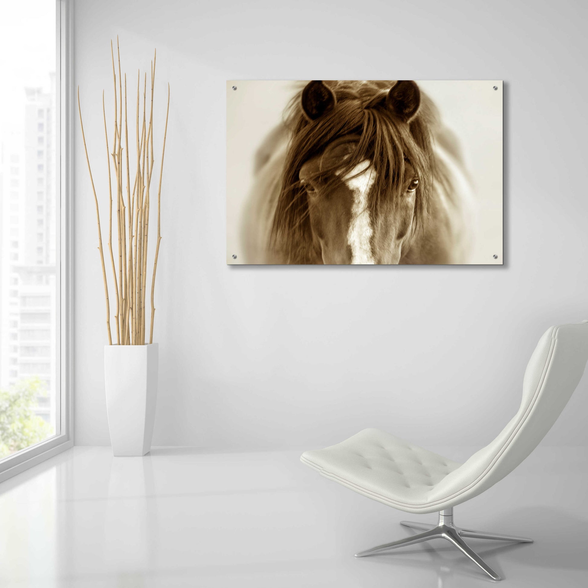 Epic Art 'Ghost Horse' by Lisa Dearing, Acrylic Glass Wall Art,36x24