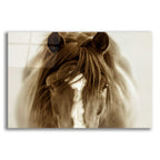 Epic Art 'Ghost Horse' by Lisa Dearing, Acrylic Glass Wall Art