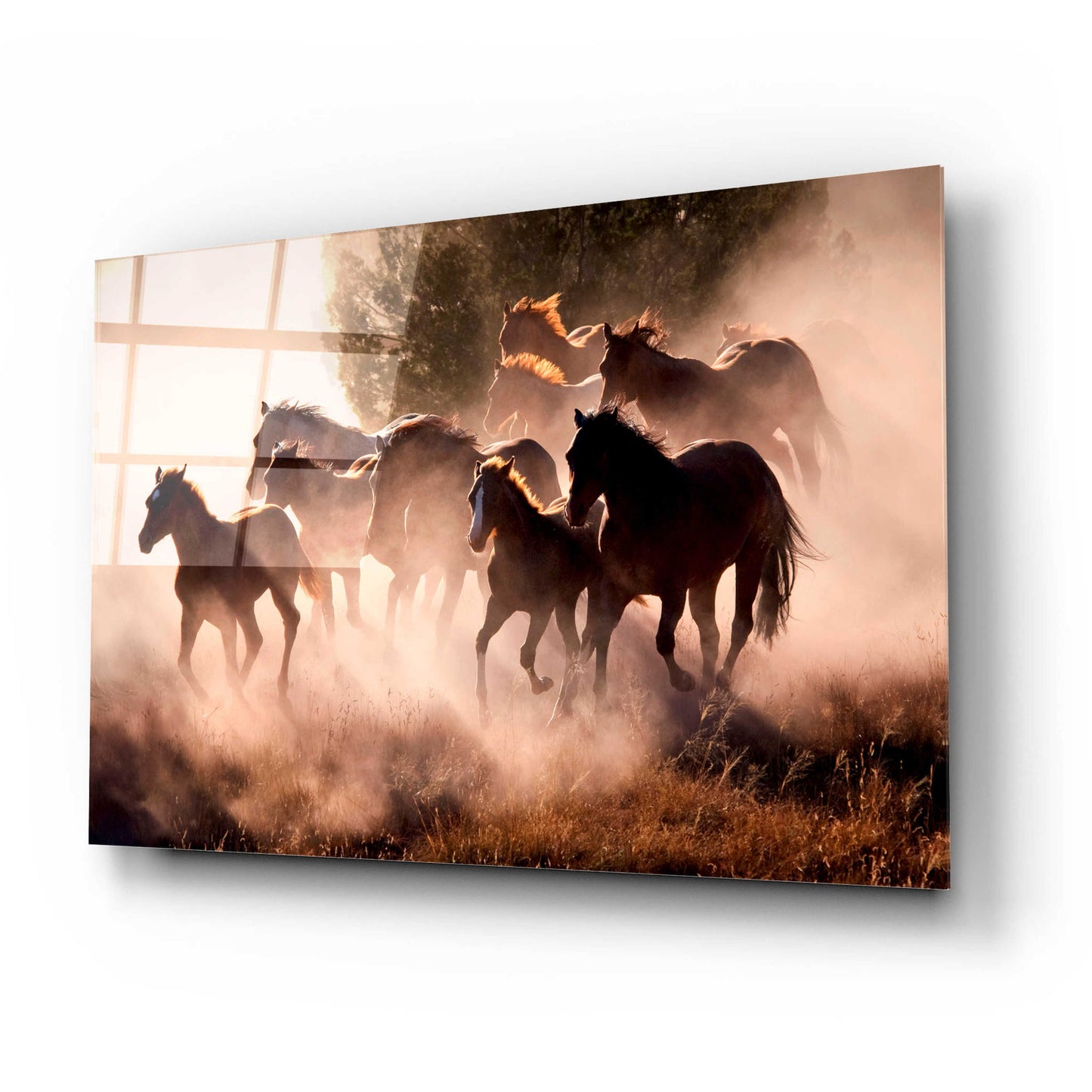 Epic Art 'Horses' by Lisa Dearing, Acrylic Glass Wall Art,24x16