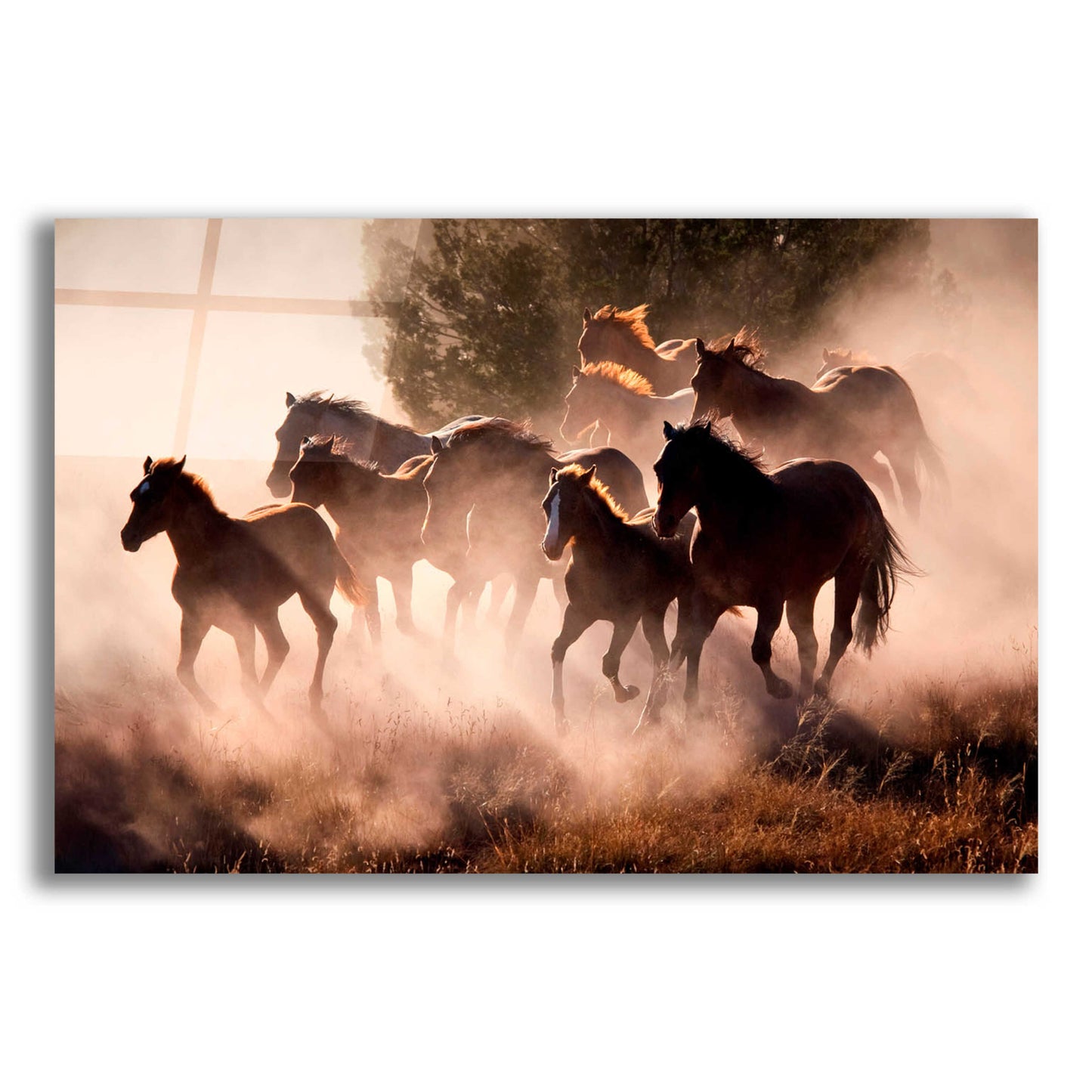 Epic Art 'Horses' by Lisa Dearing, Acrylic Glass Wall Art,24x16