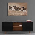 Epic Art 'Kicking Dust' by Lisa Dearing, Acrylic Glass Wall Art,36x24