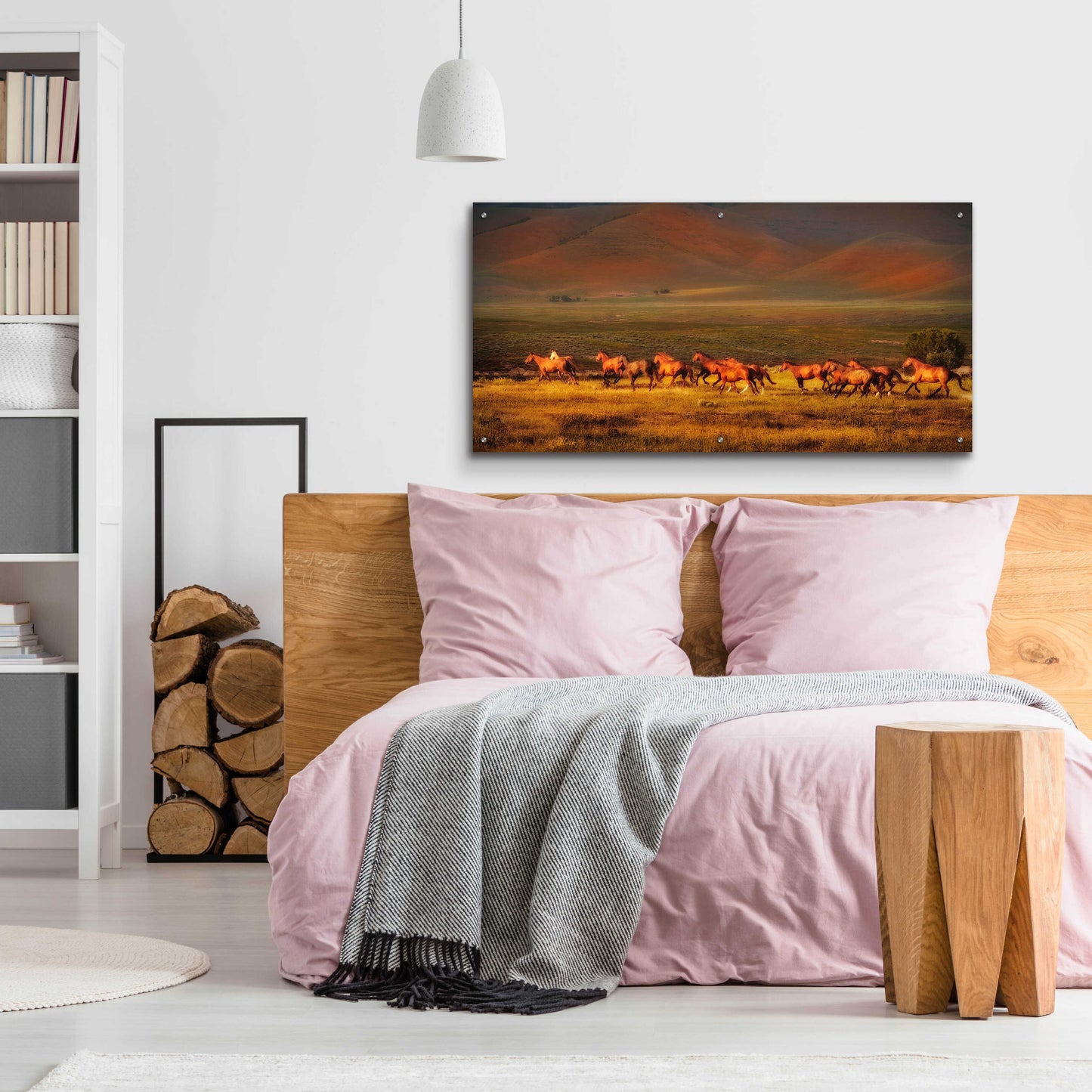 Epic Art 'Montana Dreaming' by Lisa Dearing, Acrylic Glass Wall Art,48x24