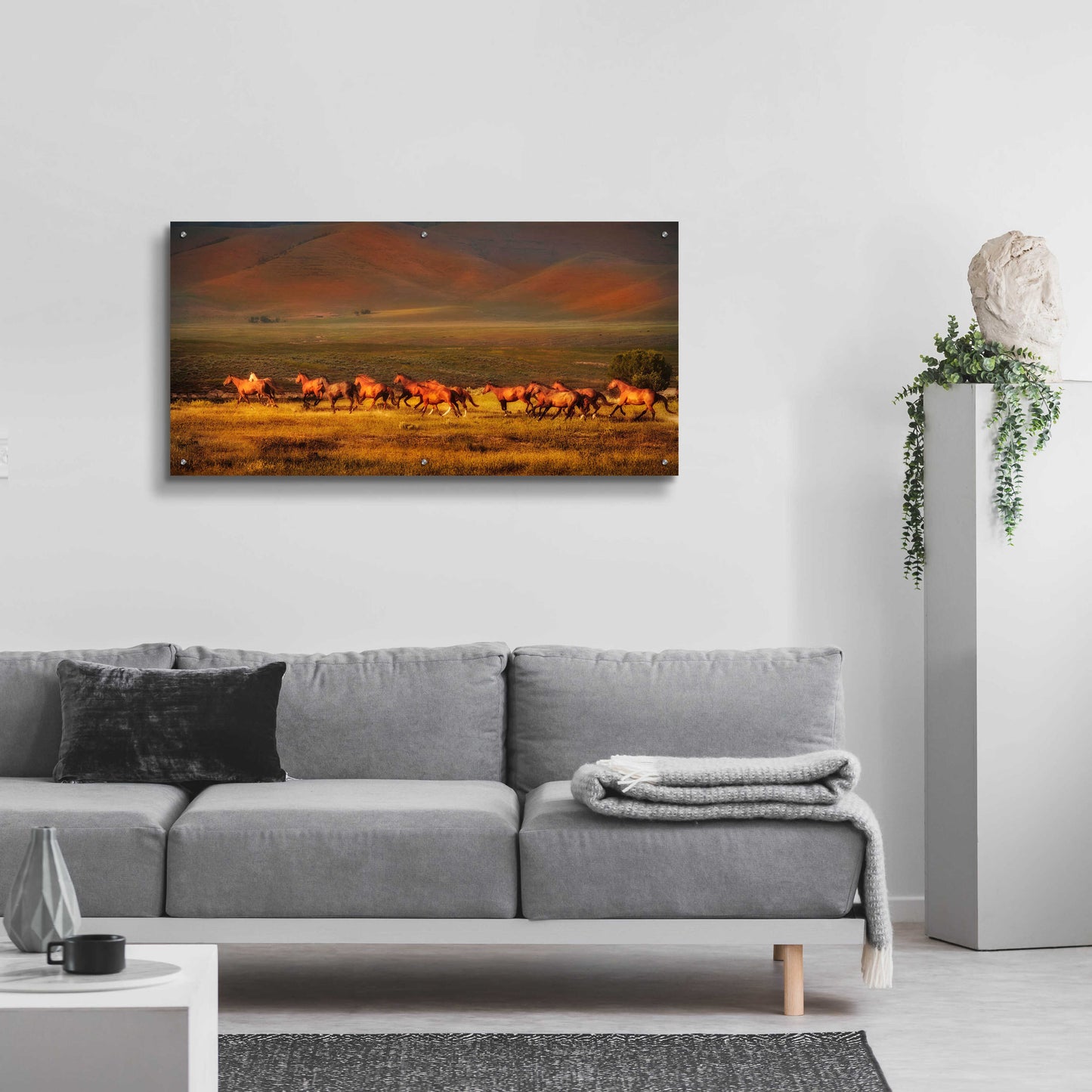 Epic Art 'Montana Dreaming' by Lisa Dearing, Acrylic Glass Wall Art,48x24