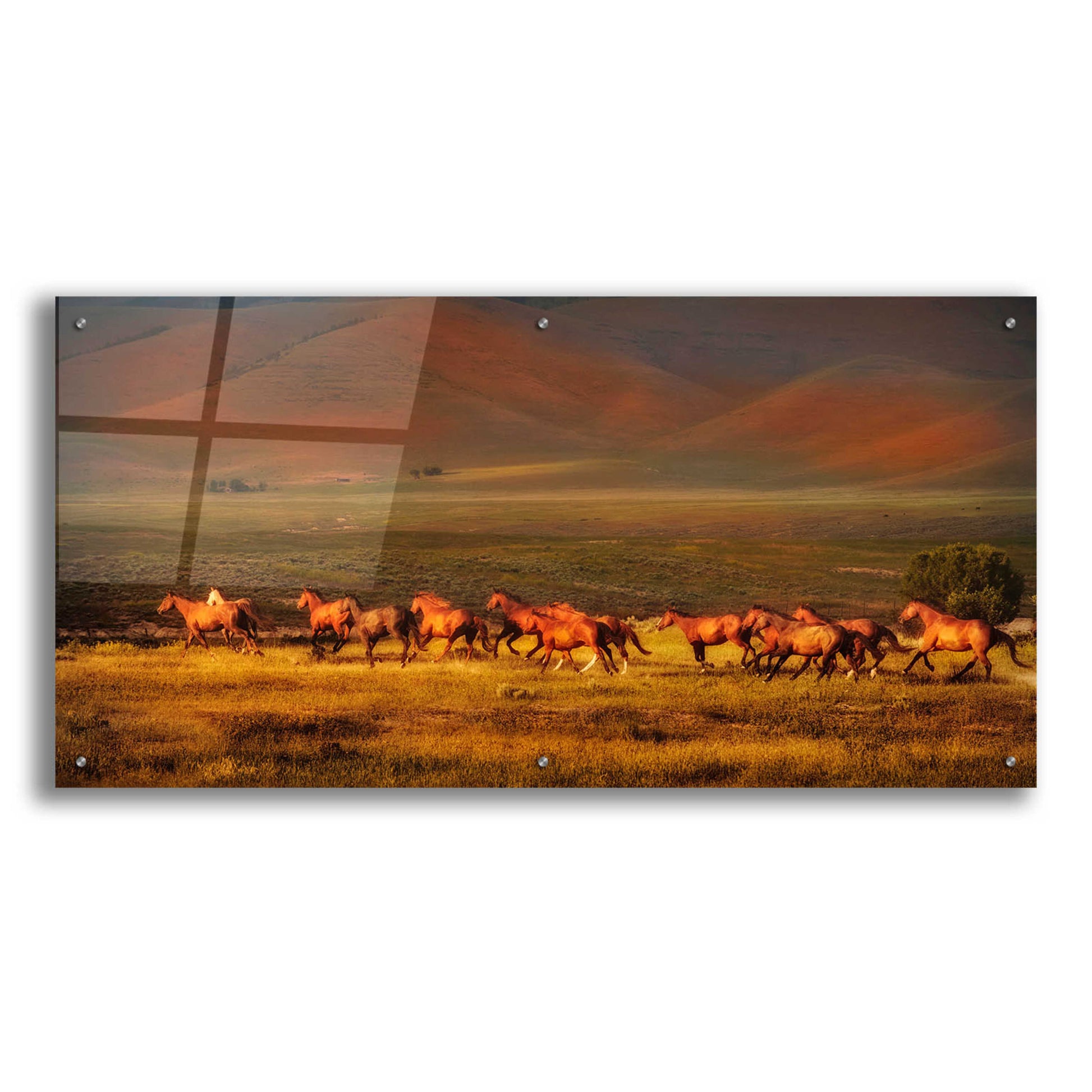 Epic Art 'Montana Dreaming' by Lisa Dearing, Acrylic Glass Wall Art,48x24