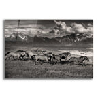Epic Art 'Mountain Range Mavericks' by Lisa Dearing, Acrylic Glass Wall Art