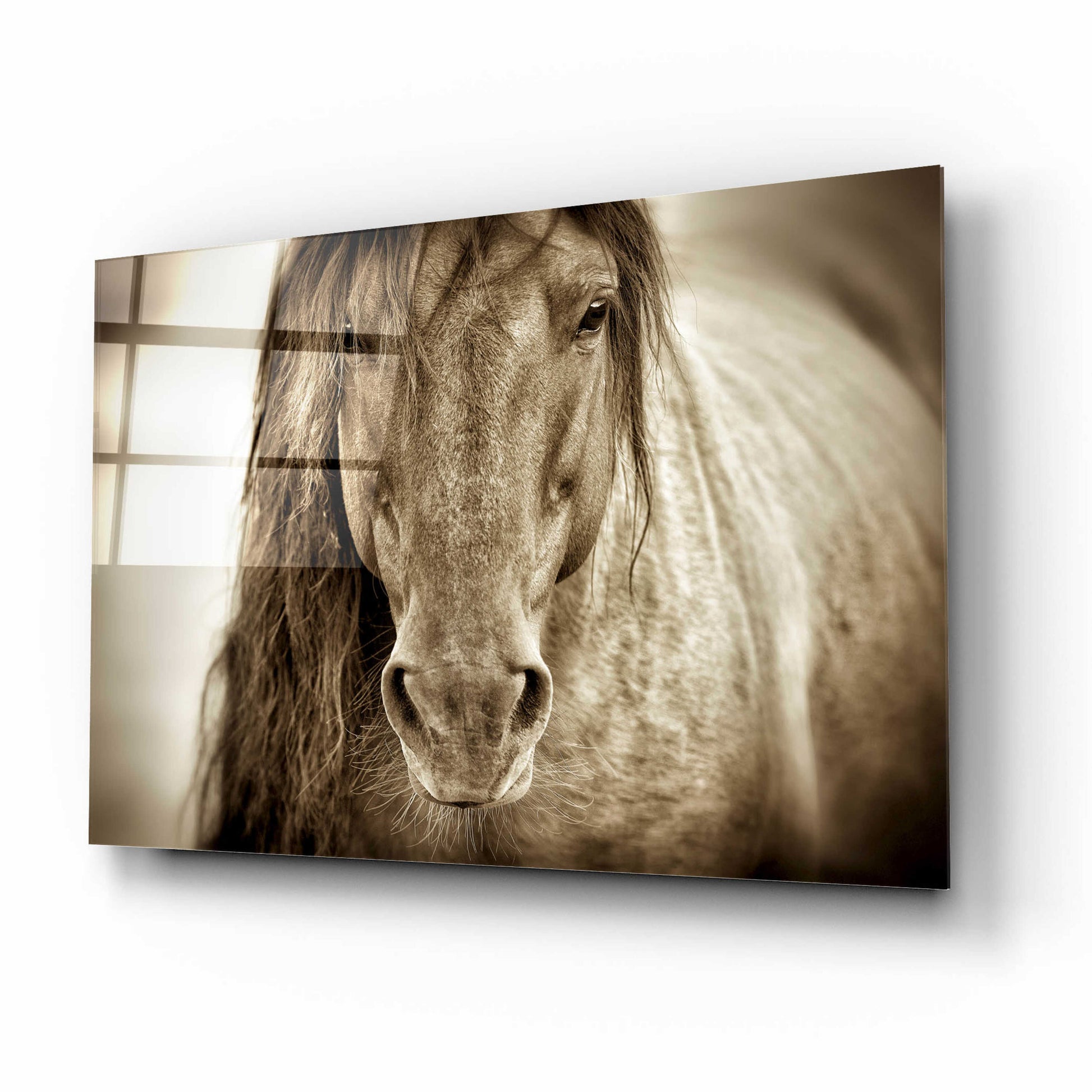 Epic Art 'Mustang Sally' by Lisa Dearing, Acrylic Glass Wall Art,16x12