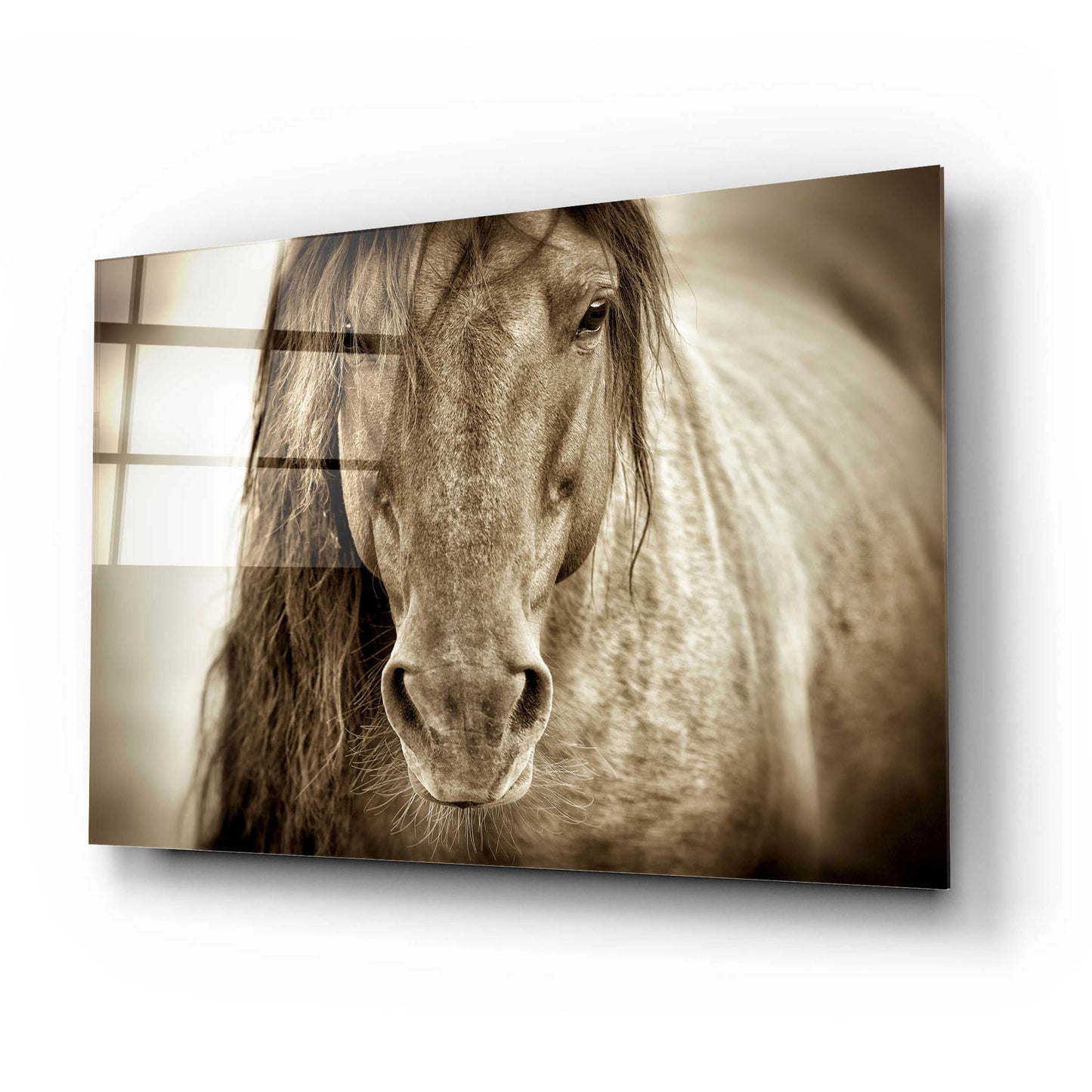 Epic Art 'Mustang Sally' by Lisa Dearing, Acrylic Glass Wall Art,24x16