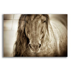 Epic Art 'Mustang Sally' by Lisa Dearing, Acrylic Glass Wall Art