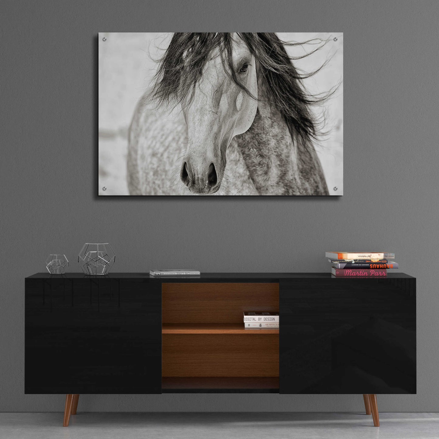 Epic Art 'My Beautiful Mane' by Lisa Dearing, Acrylic Glass Wall Art,36x24