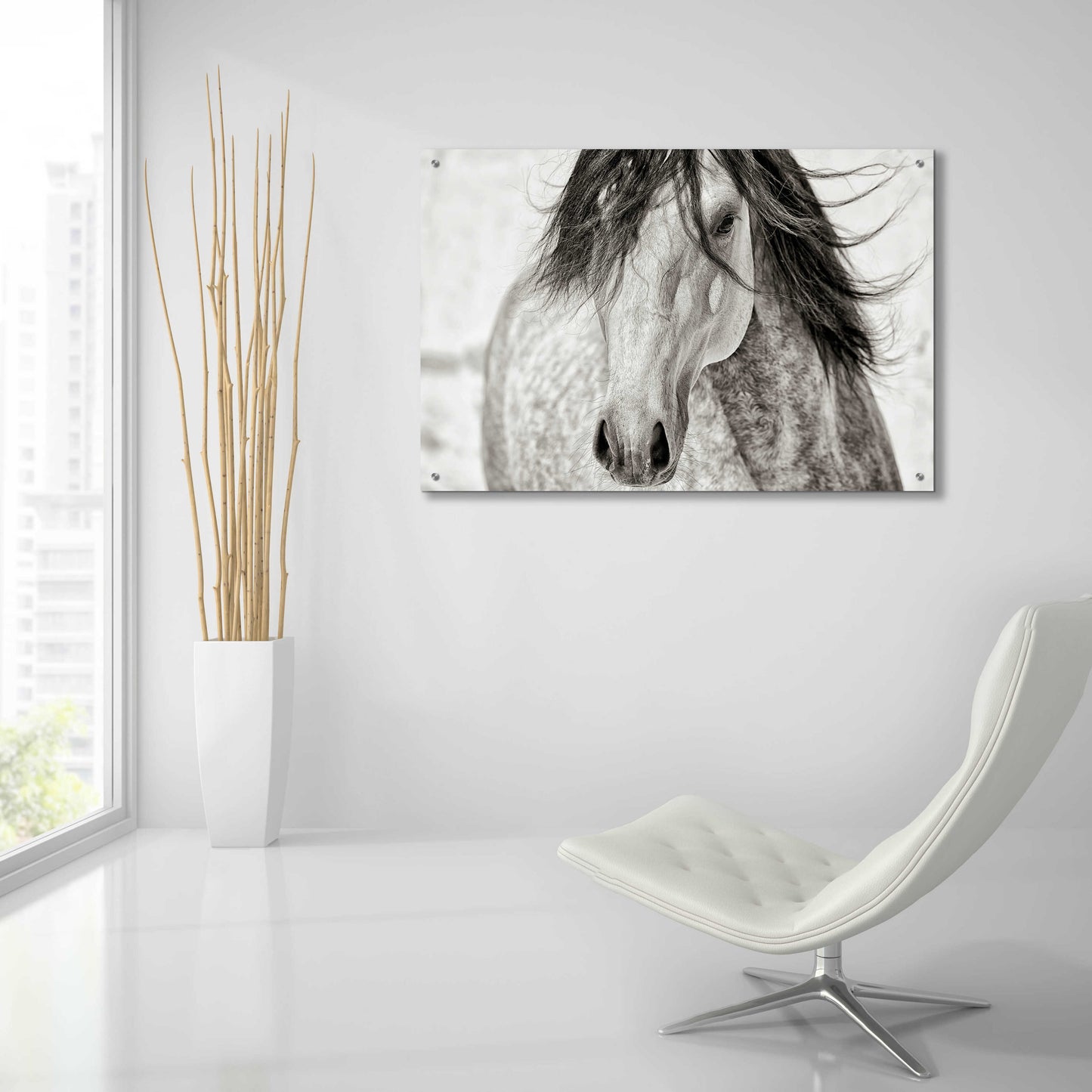 Epic Art 'My Beautiful Mane' by Lisa Dearing, Acrylic Glass Wall Art,36x24