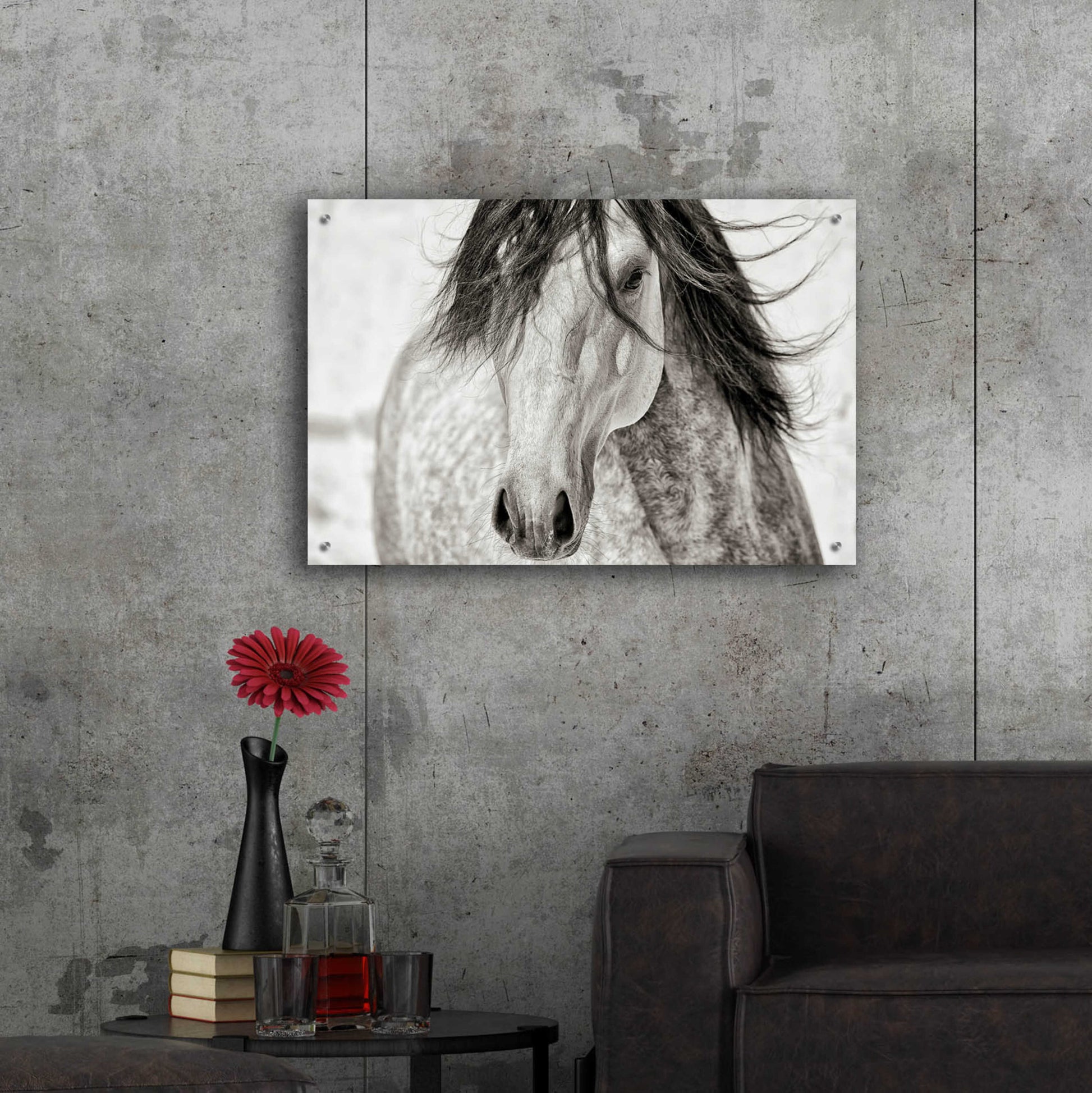 Epic Art 'My Beautiful Mane' by Lisa Dearing, Acrylic Glass Wall Art,36x24