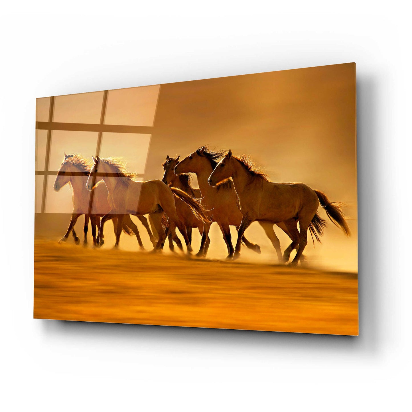 Epic Art 'Night Runners' by Lisa Dearing, Acrylic Glass Wall Art,24x16