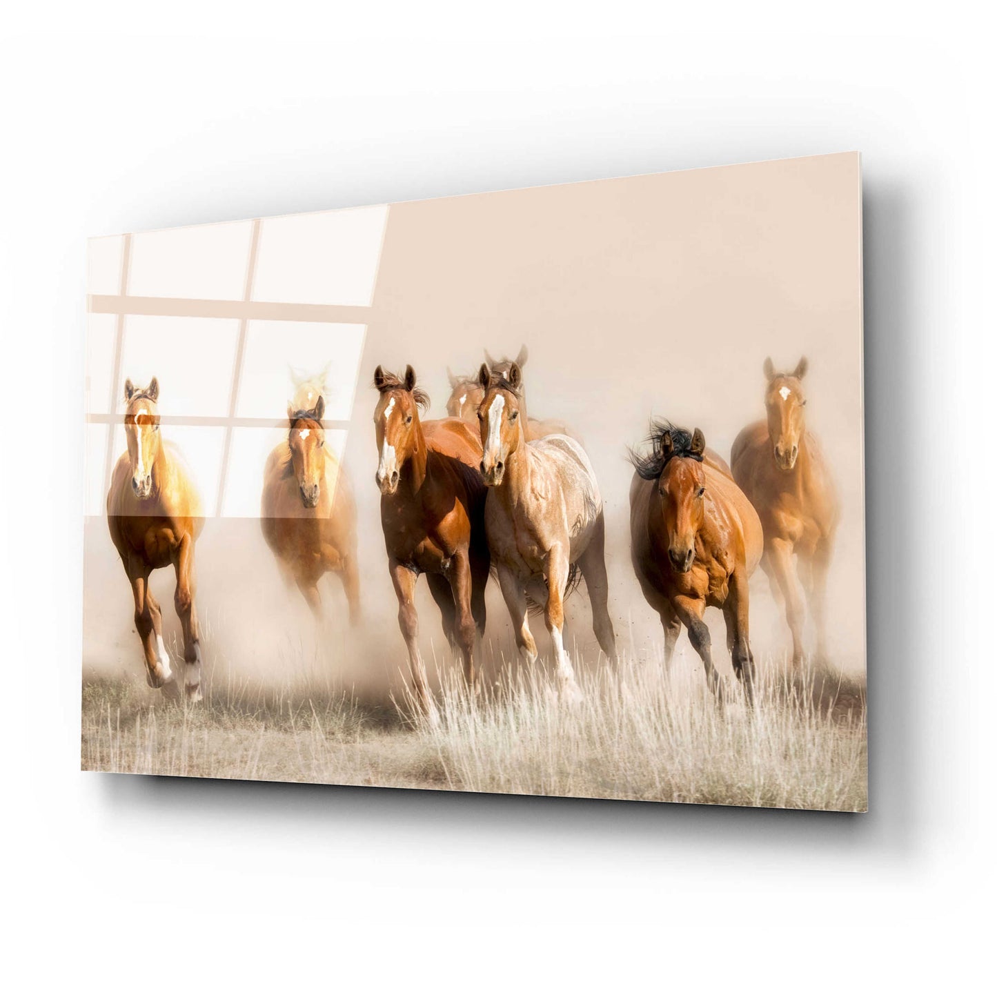 Epic Art 'Outlaws' by Lisa Dearing, Acrylic Glass Wall Art,24x16