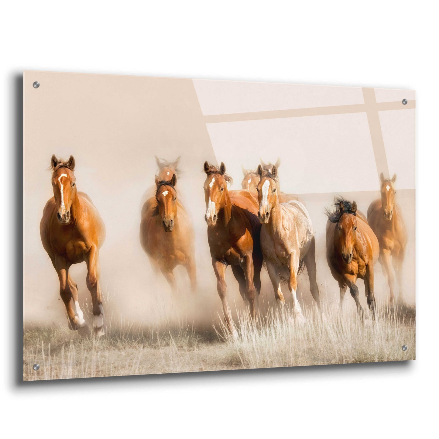 Epic Art 'Outlaws' by Lisa Dearing, Acrylic Glass Wall Art,36x24