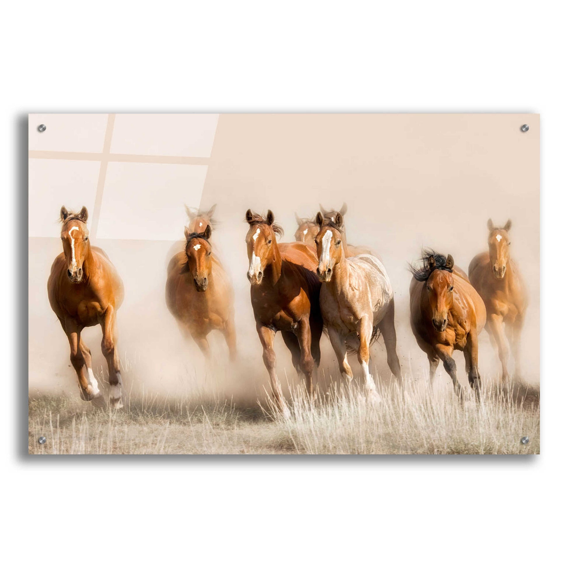 Epic Art 'Outlaws' by Lisa Dearing, Acrylic Glass Wall Art,36x24