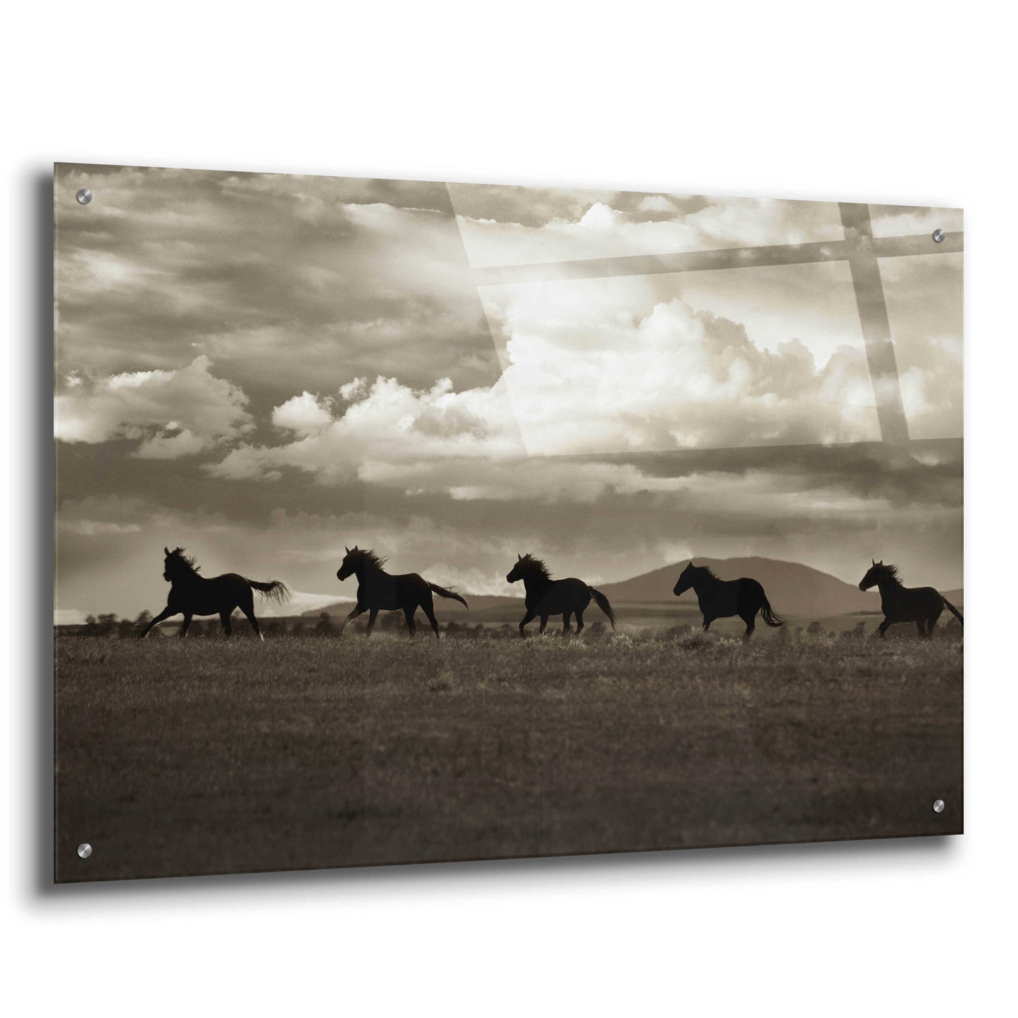 Epic Art 'Racing the Clouds' by Lisa Dearing, Acrylic Glass Wall Art,36x24