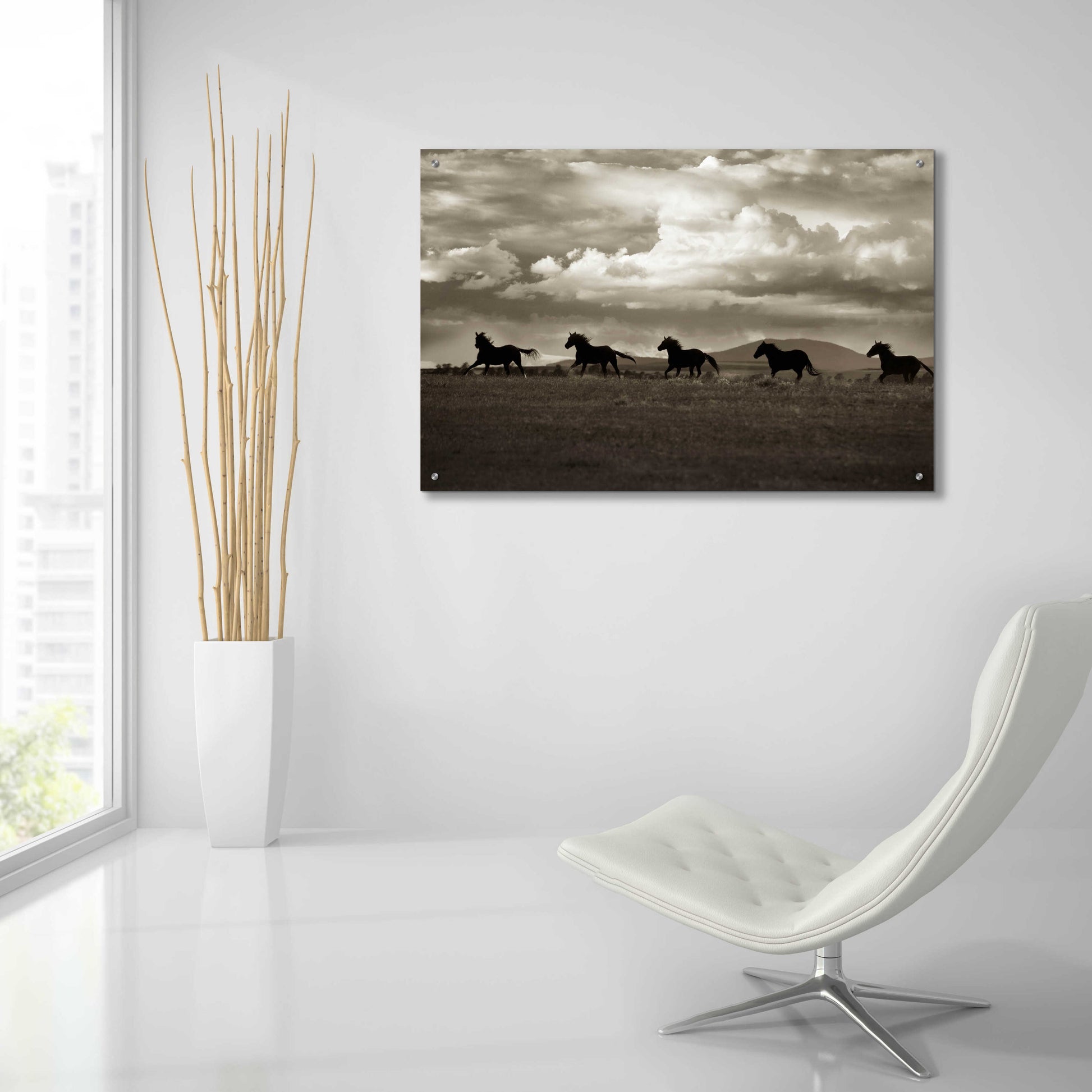 Epic Art 'Racing the Clouds' by Lisa Dearing, Acrylic Glass Wall Art,36x24