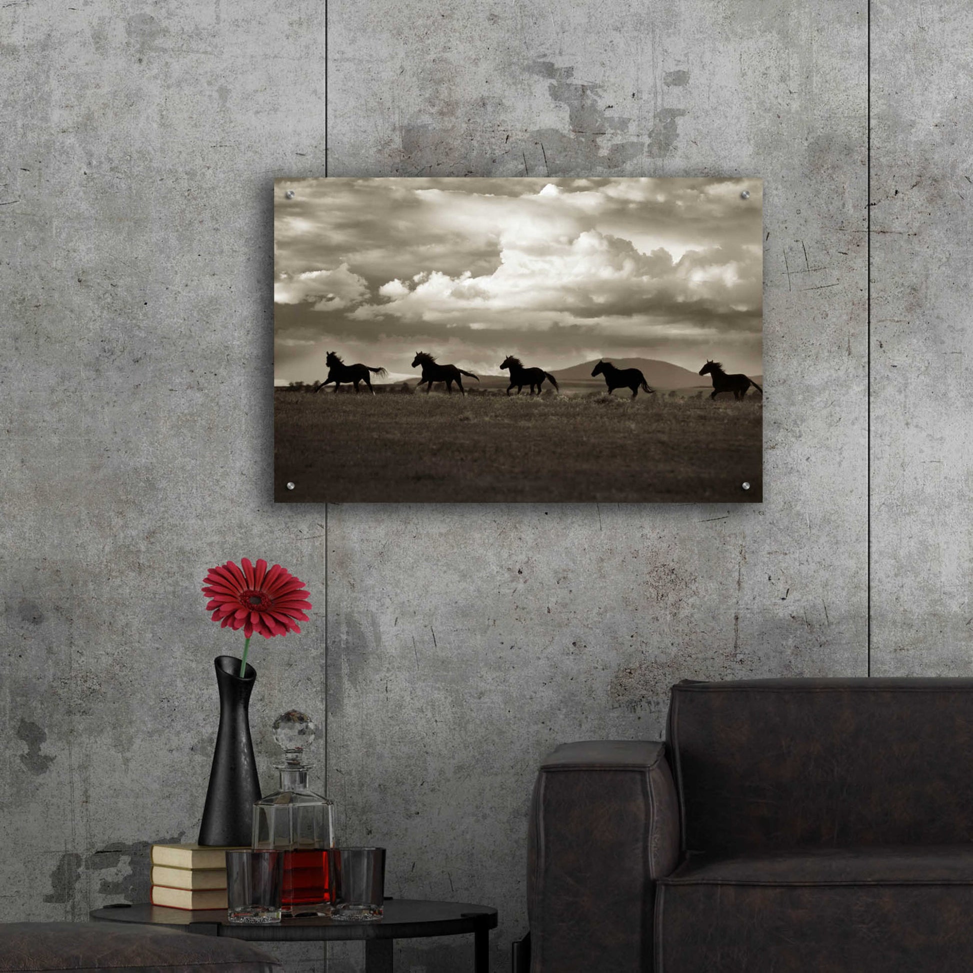 Epic Art 'Racing the Clouds' by Lisa Dearing, Acrylic Glass Wall Art,36x24