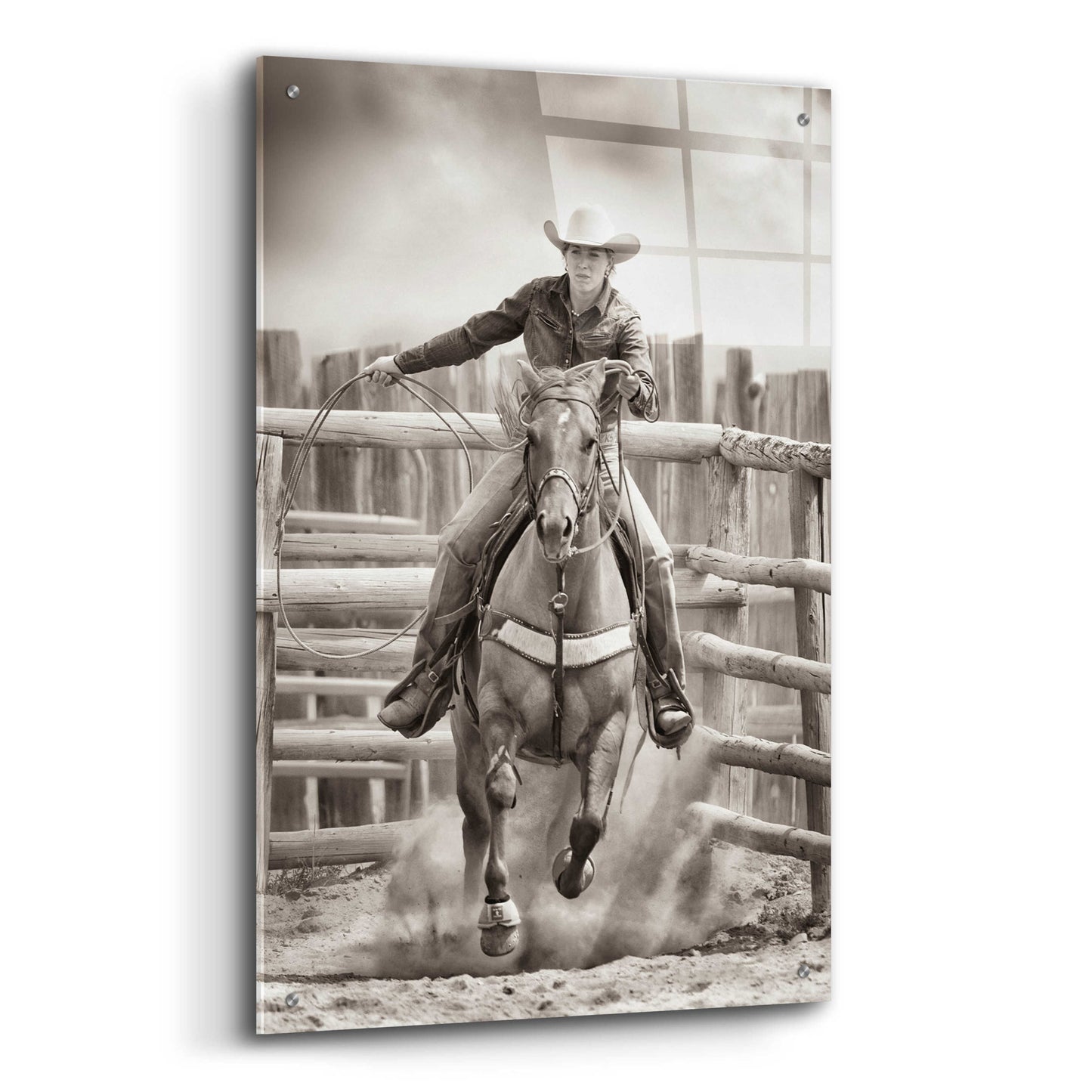 Epic Art 'Ride ‘Em Cowgirl' by Lisa Dearing, Acrylic Glass Wall Art,24x36