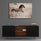 Epic Art 'Running Free' by Lisa Dearing, Acrylic Glass Wall Art,36x24
