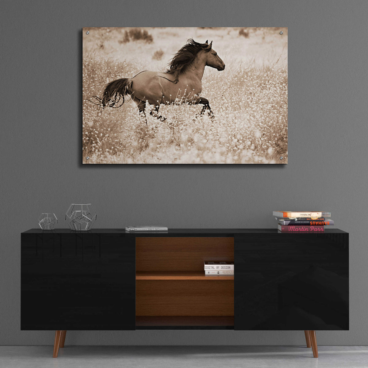 Epic Art 'Running Free' by Lisa Dearing, Acrylic Glass Wall Art,36x24