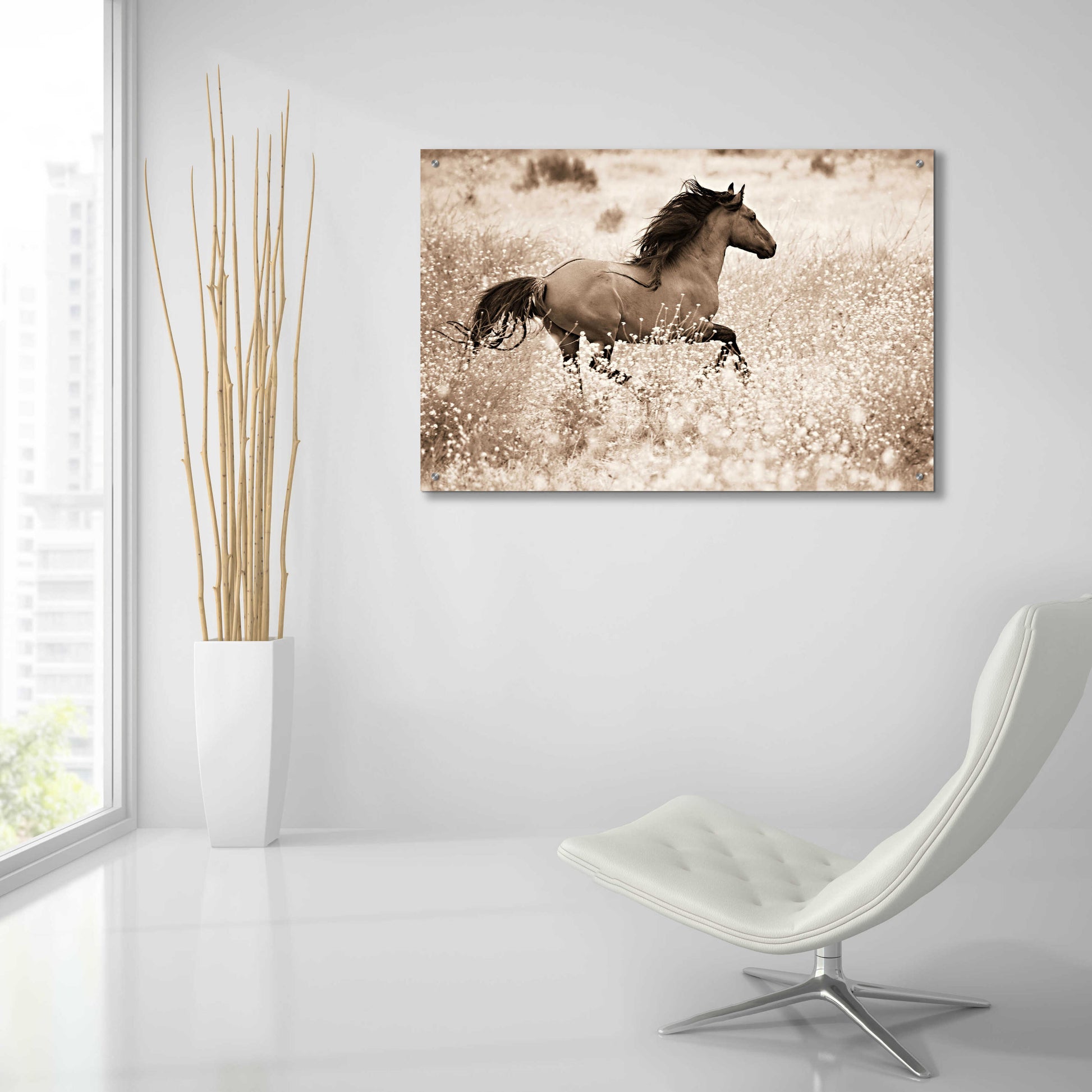 Epic Art 'Running Free' by Lisa Dearing, Acrylic Glass Wall Art,36x24