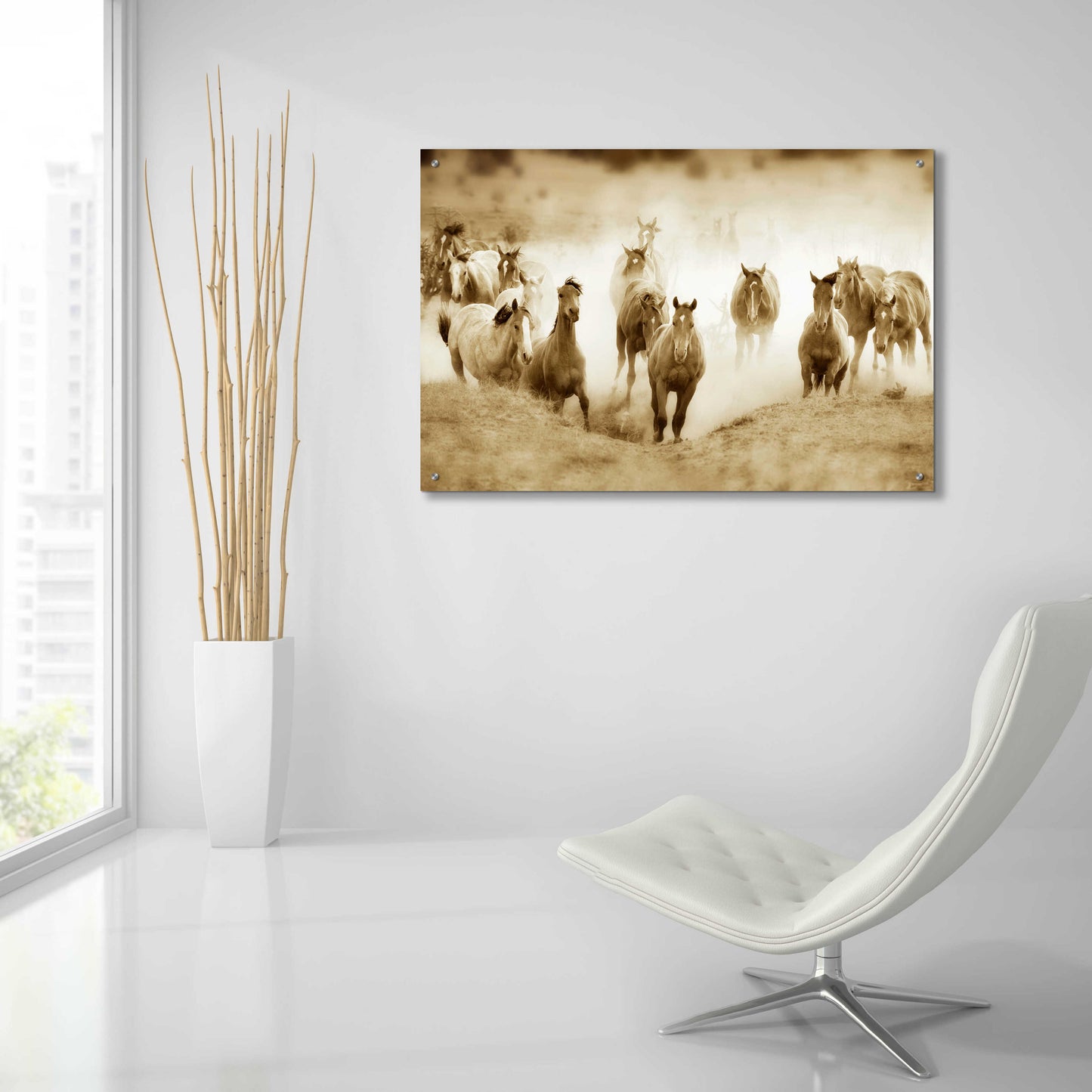 Epic Art 'San Cristobol Horses' by Lisa Dearing, Acrylic Glass Wall Art,36x24