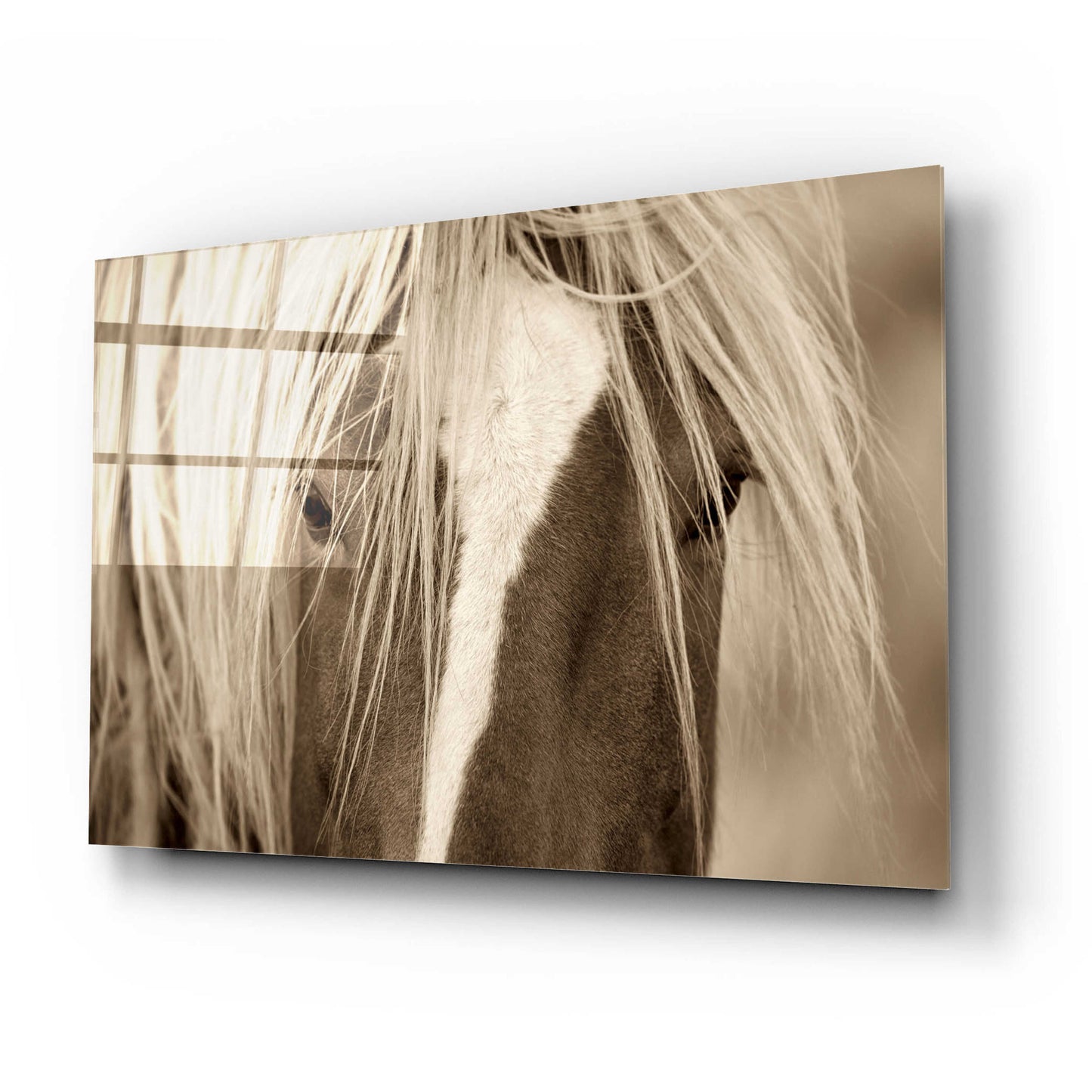 Epic Art 'The Blonde' by Lisa Dearing, Acrylic Glass Wall Art,24x16