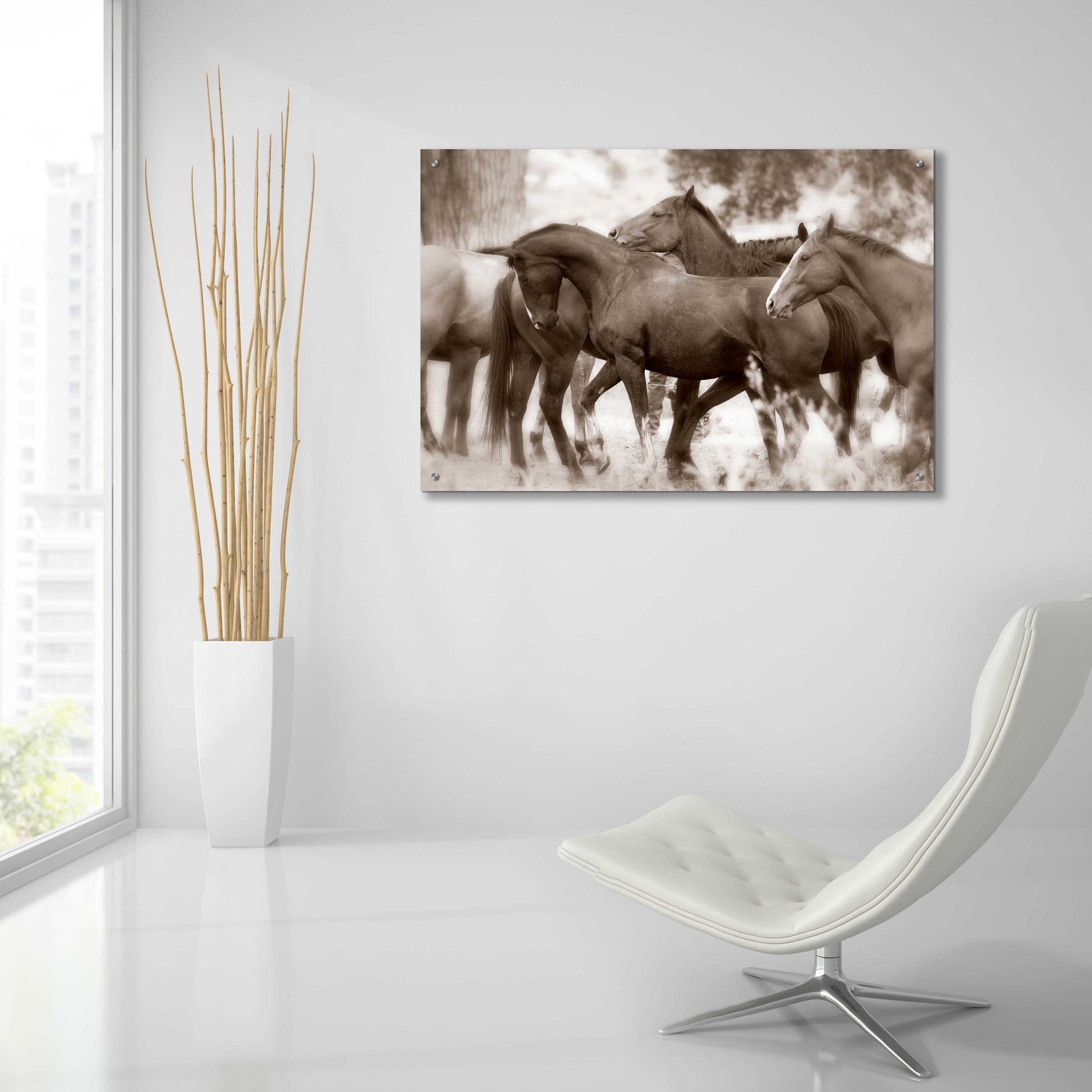 Epic Art 'The Herd' by Lisa Dearing, Acrylic Glass Wall Art,36x24