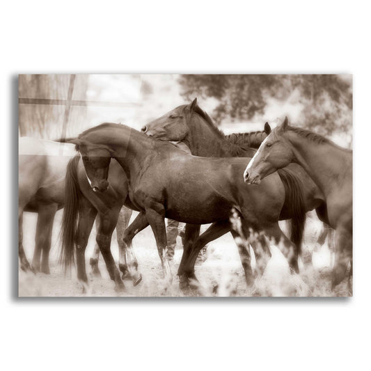 Epic Art 'The Herd' by Lisa Dearing, Acrylic Glass Wall Art