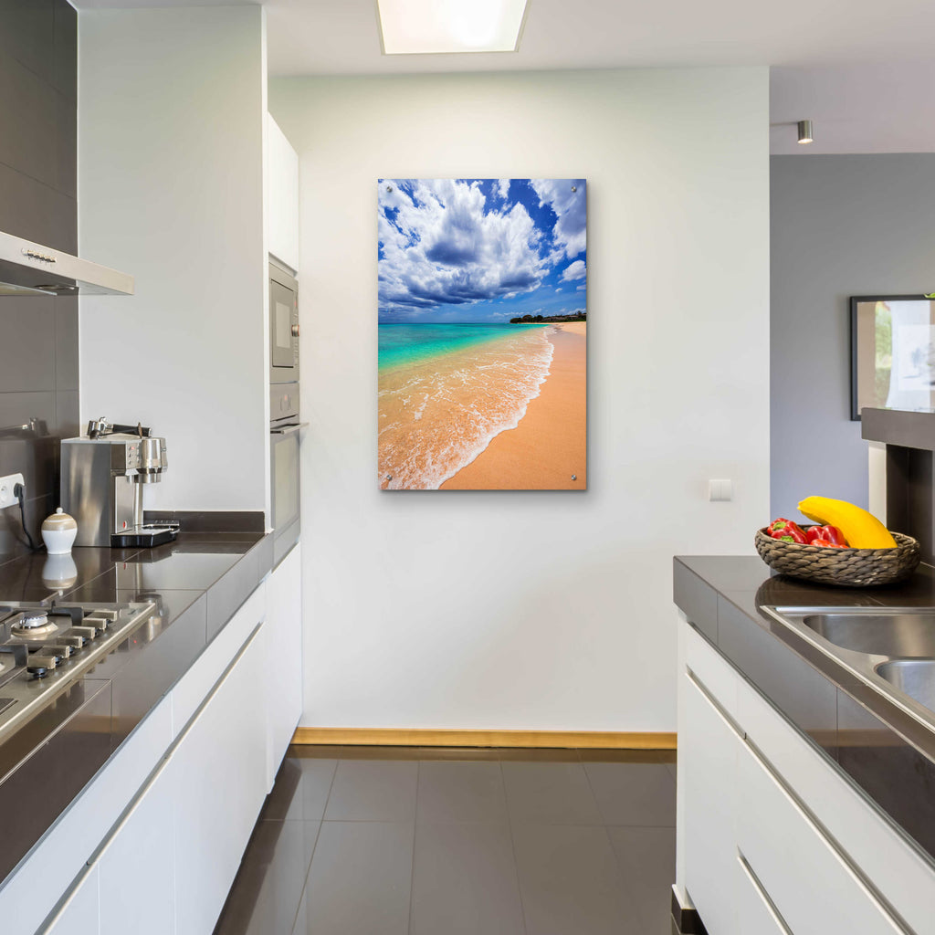 Epic Art 'A Perfect Day' by Lizzy Davis, Acrylic Glass Wall Art,24x36