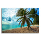 Epic Art 'Palm Tree Dreams' by Lizzy Davis, Acrylic Glass Wall Art