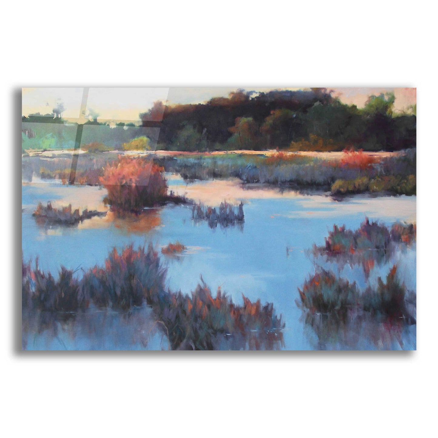 Epic Art 'Ace Basin Creek' by Madeline Dukes, Acrylic Glass Wall Art,16x12