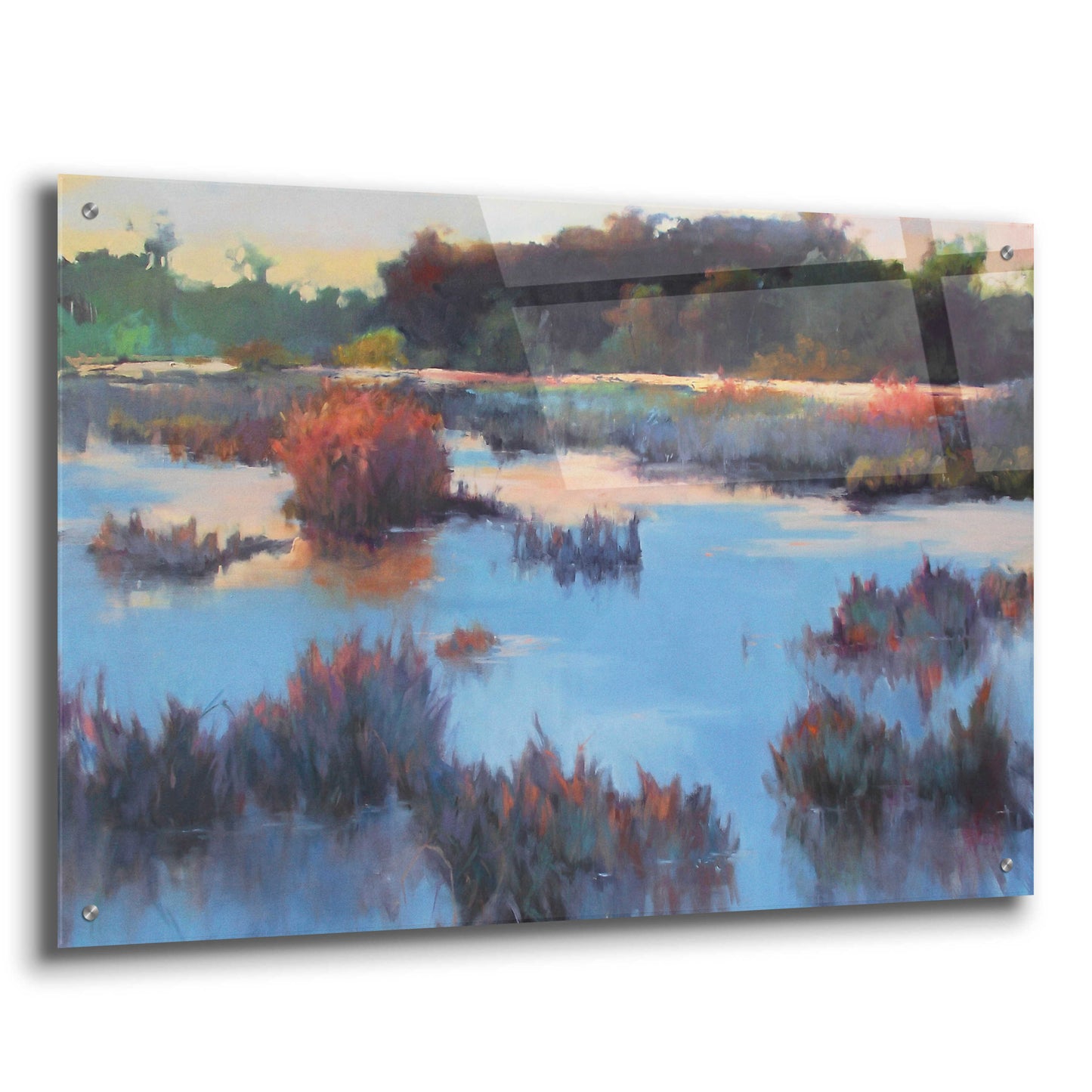 Epic Art 'Ace Basin Creek' by Madeline Dukes, Acrylic Glass Wall Art,36x24